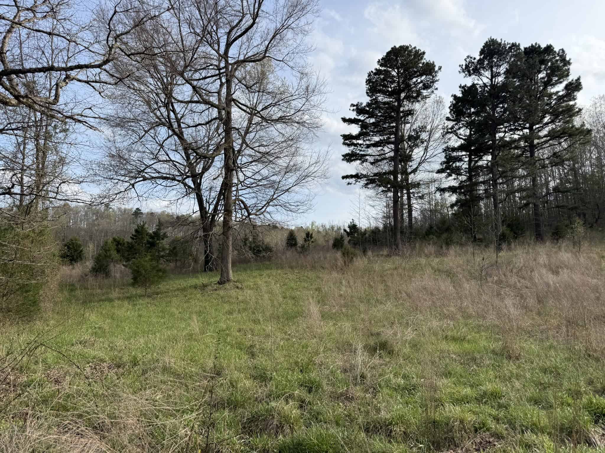 HUNTING LAND IN THE OZARK MOUNTAINS
