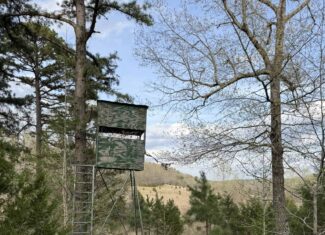 HUNTING LAND IN THE OZARK MOUNTAINS