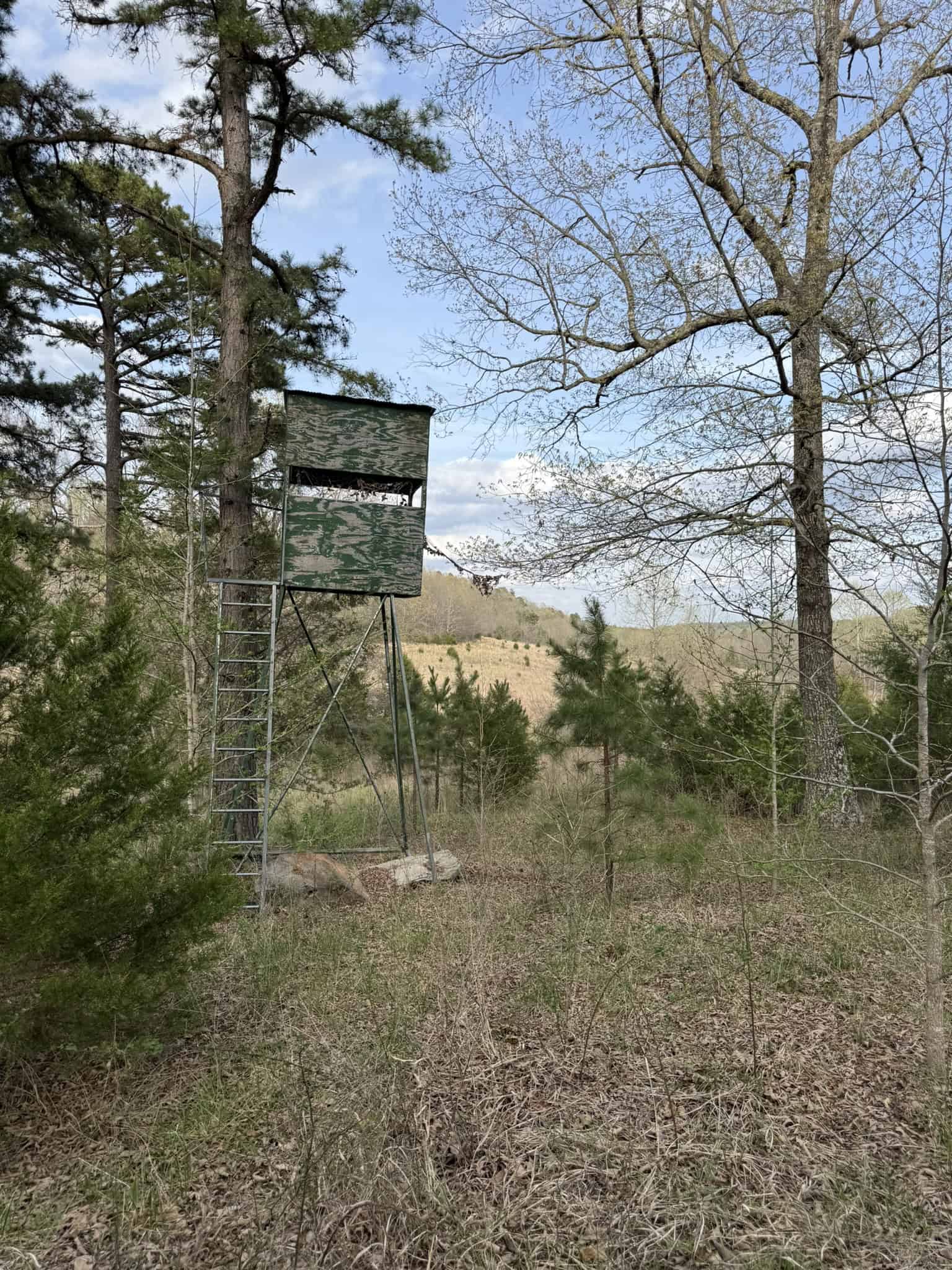 HUNTING LAND IN THE OZARK MOUNTAINS