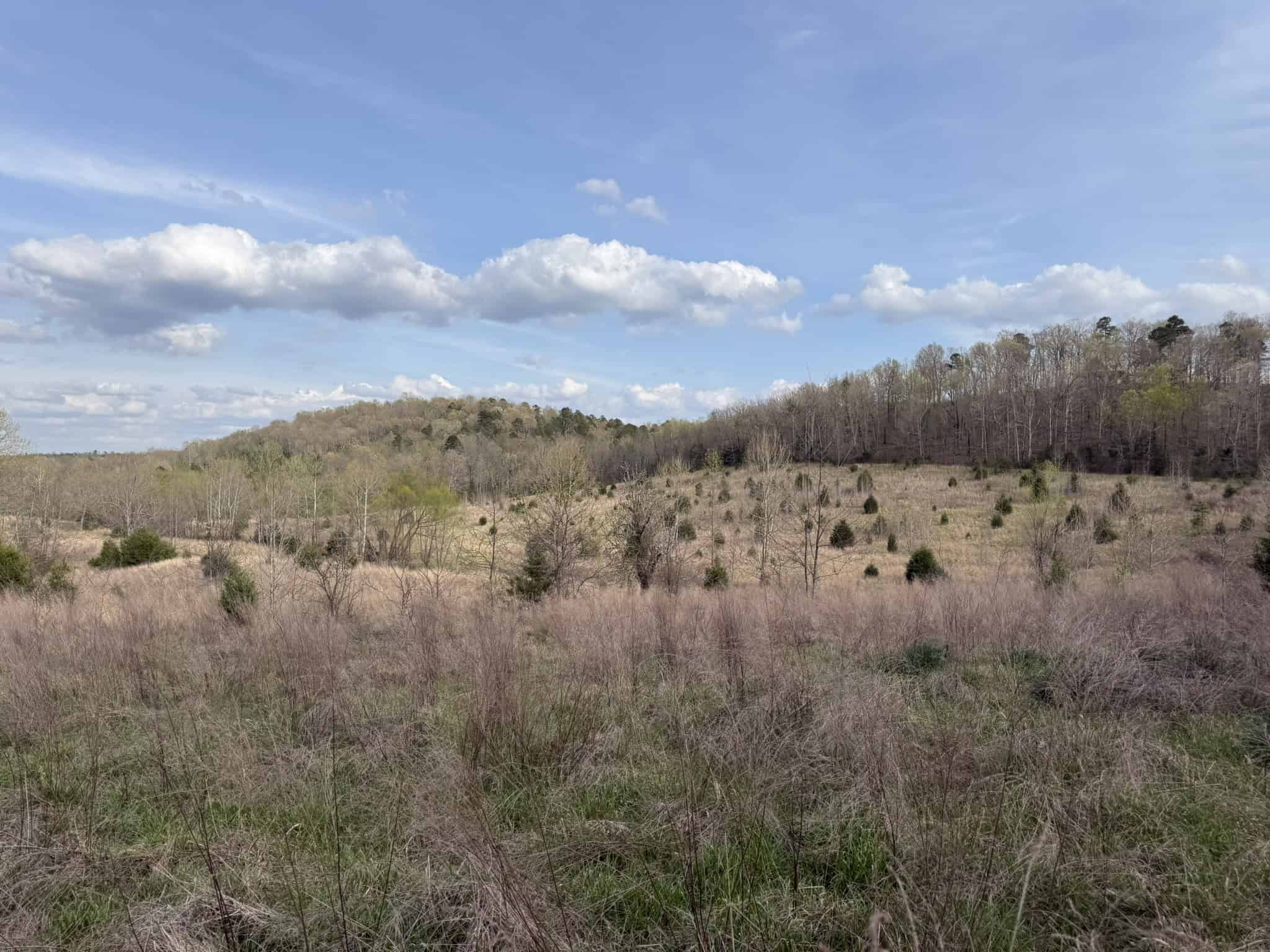 HUNTING LAND IN THE OZARK MOUNTAINS
