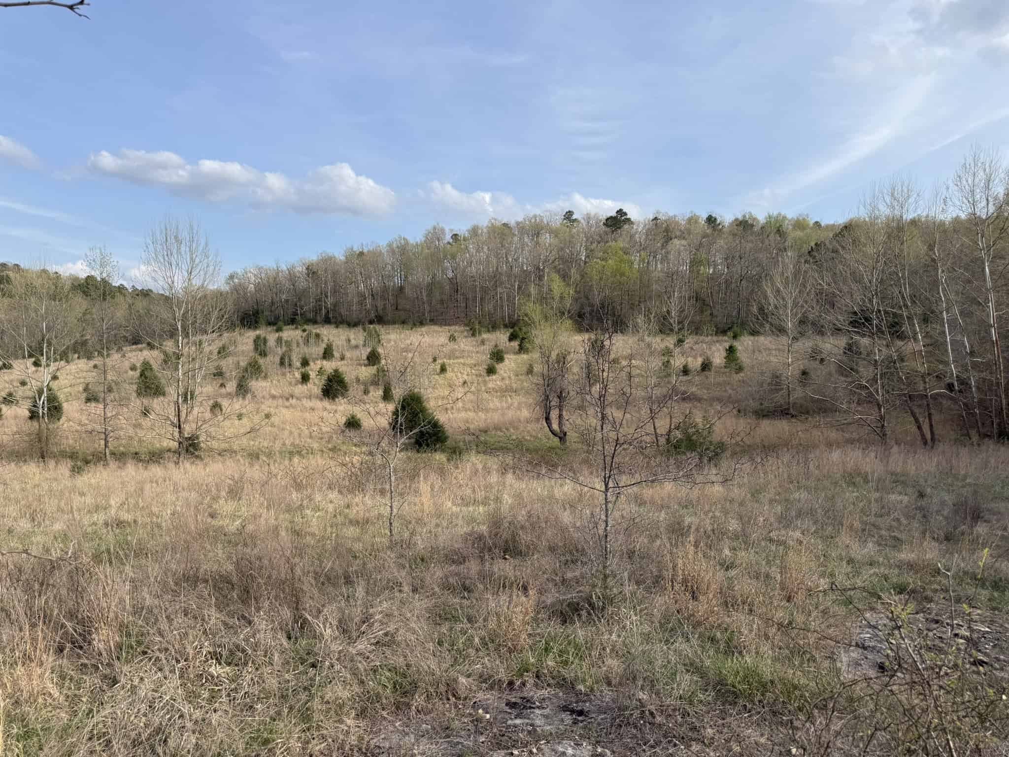 HUNTING LAND IN THE OZARK MOUNTAINS