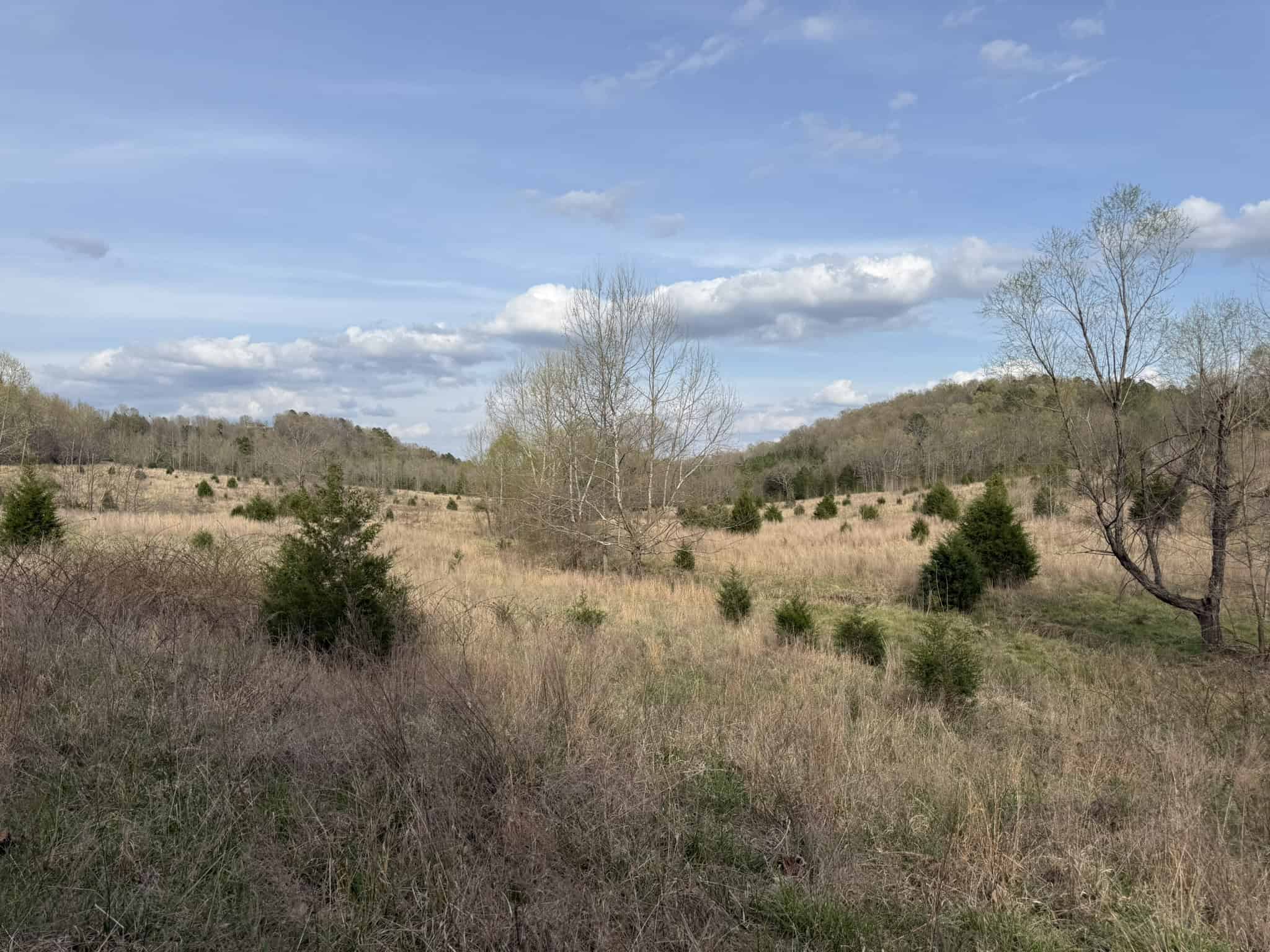 HUNTING LAND IN THE OZARK MOUNTAINS