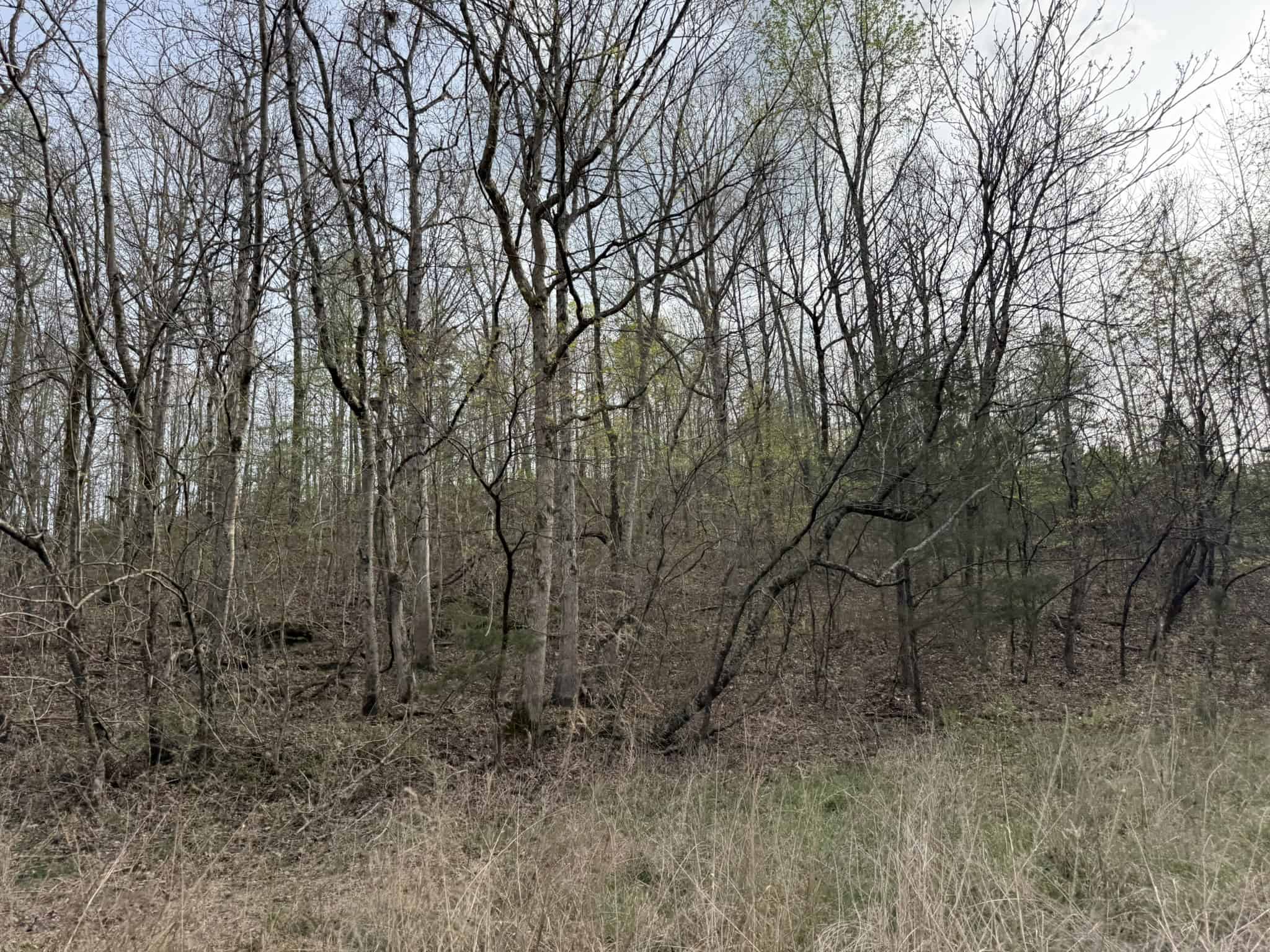 HUNTING LAND IN THE OZARK MOUNTAINS