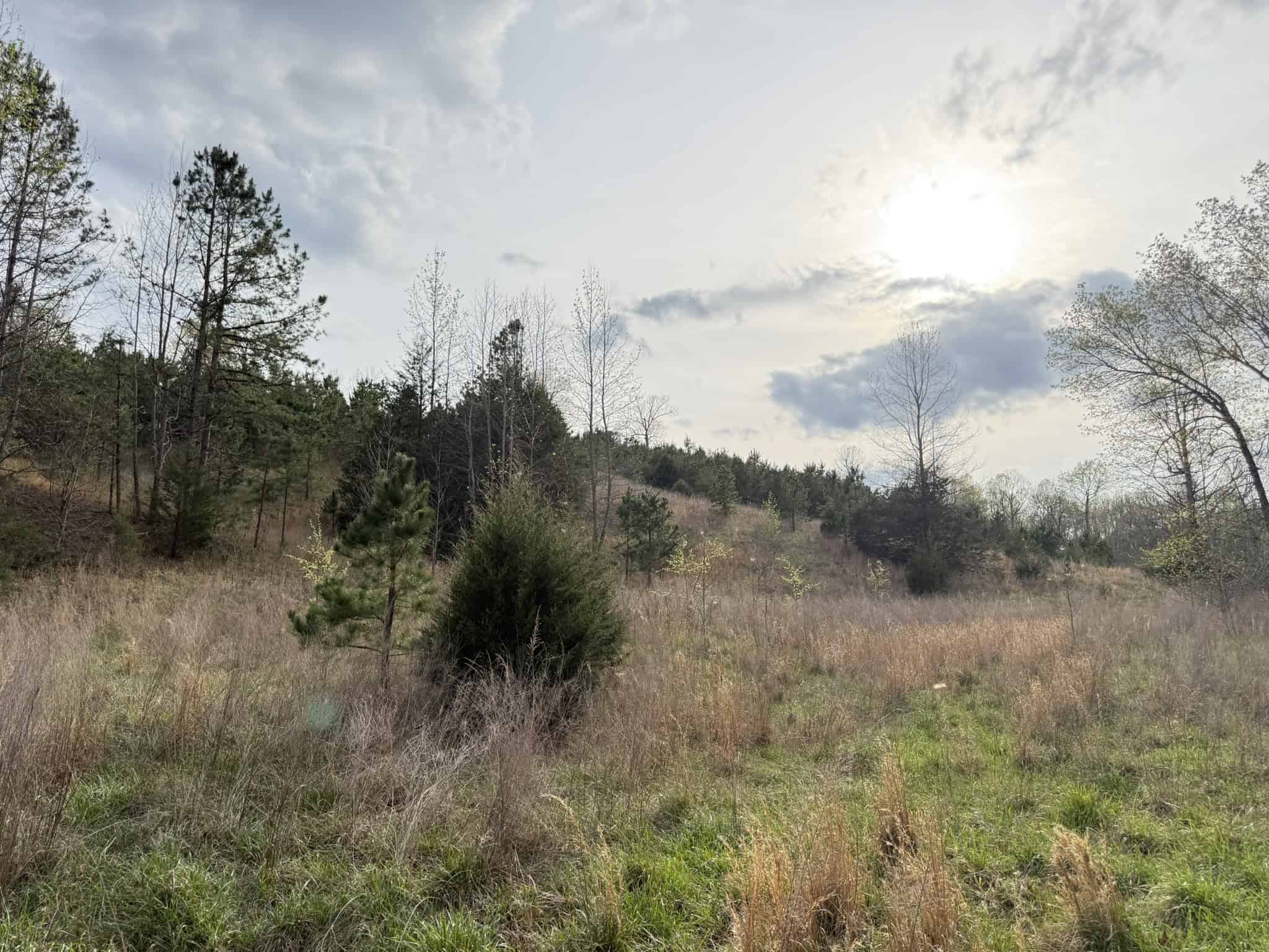 HUNTING LAND IN THE OZARK MOUNTAINS