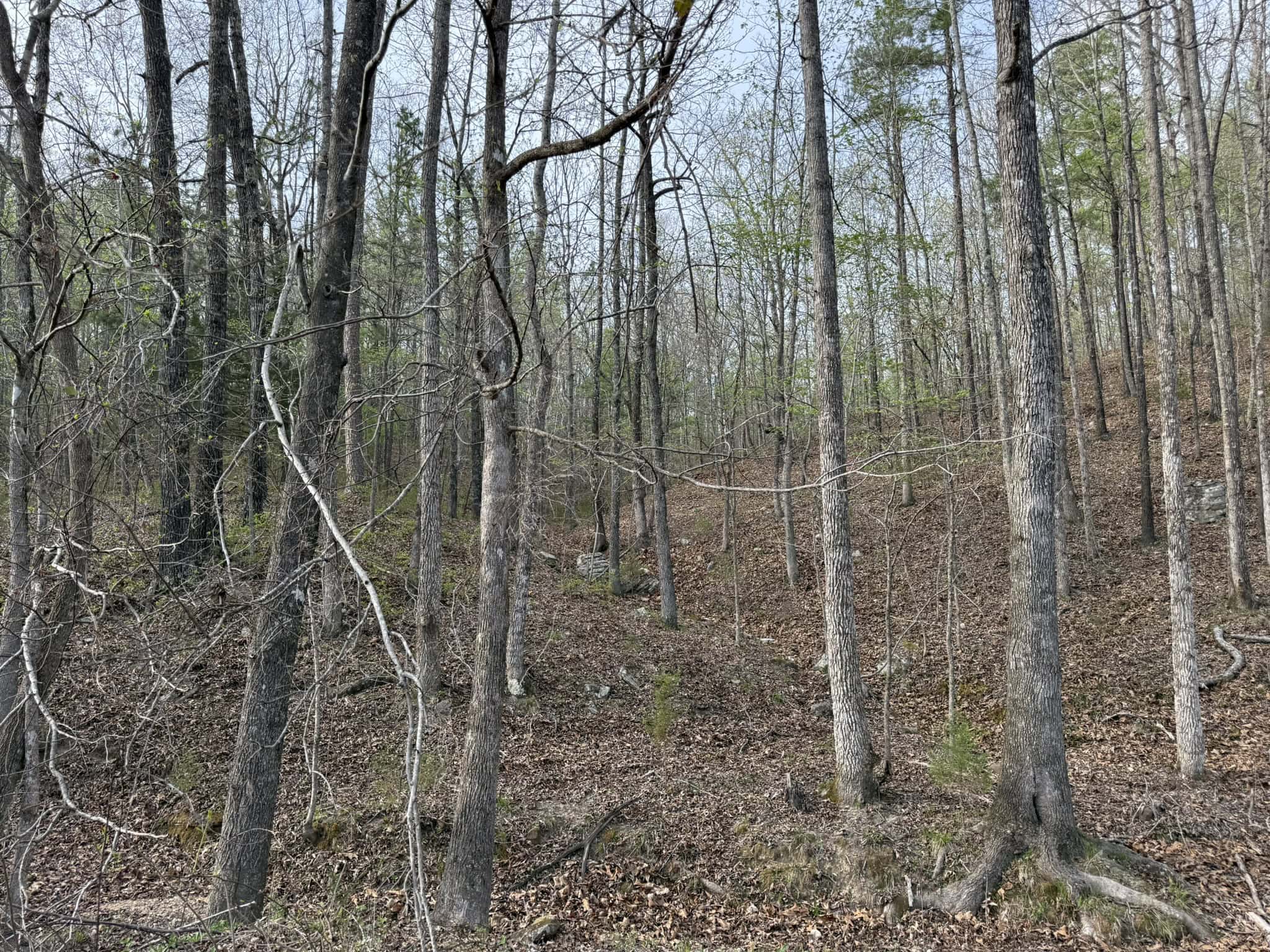 HUNTING LAND IN THE OZARK MOUNTAINS