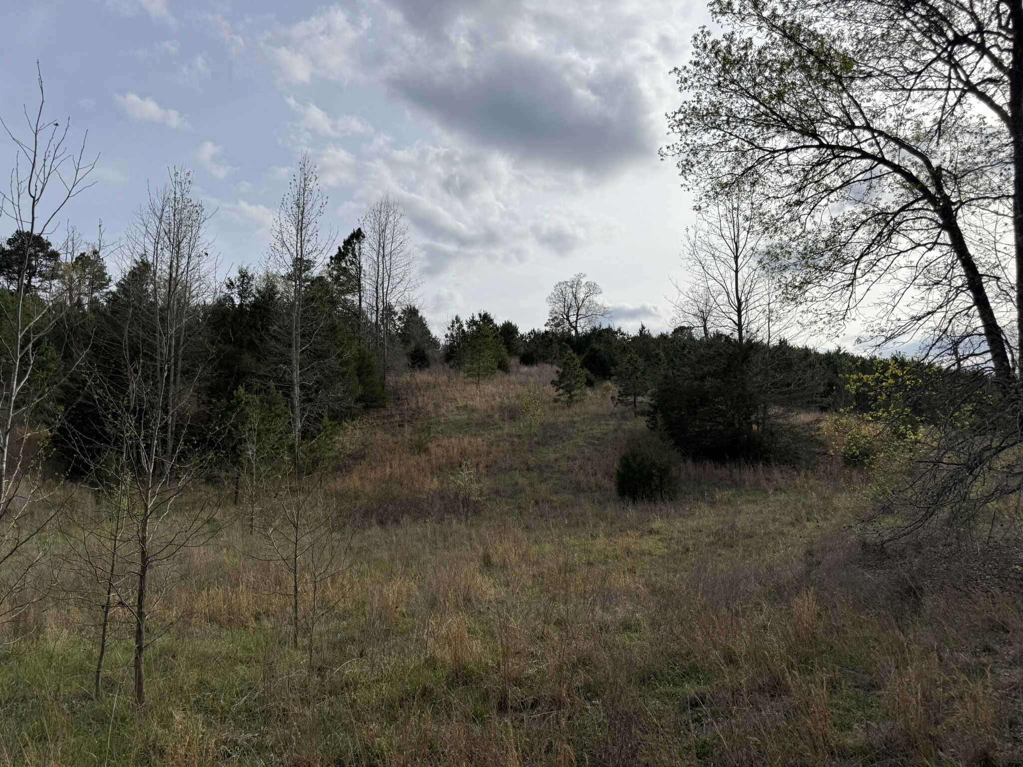HUNTING LAND IN THE OZARK MOUNTAINS