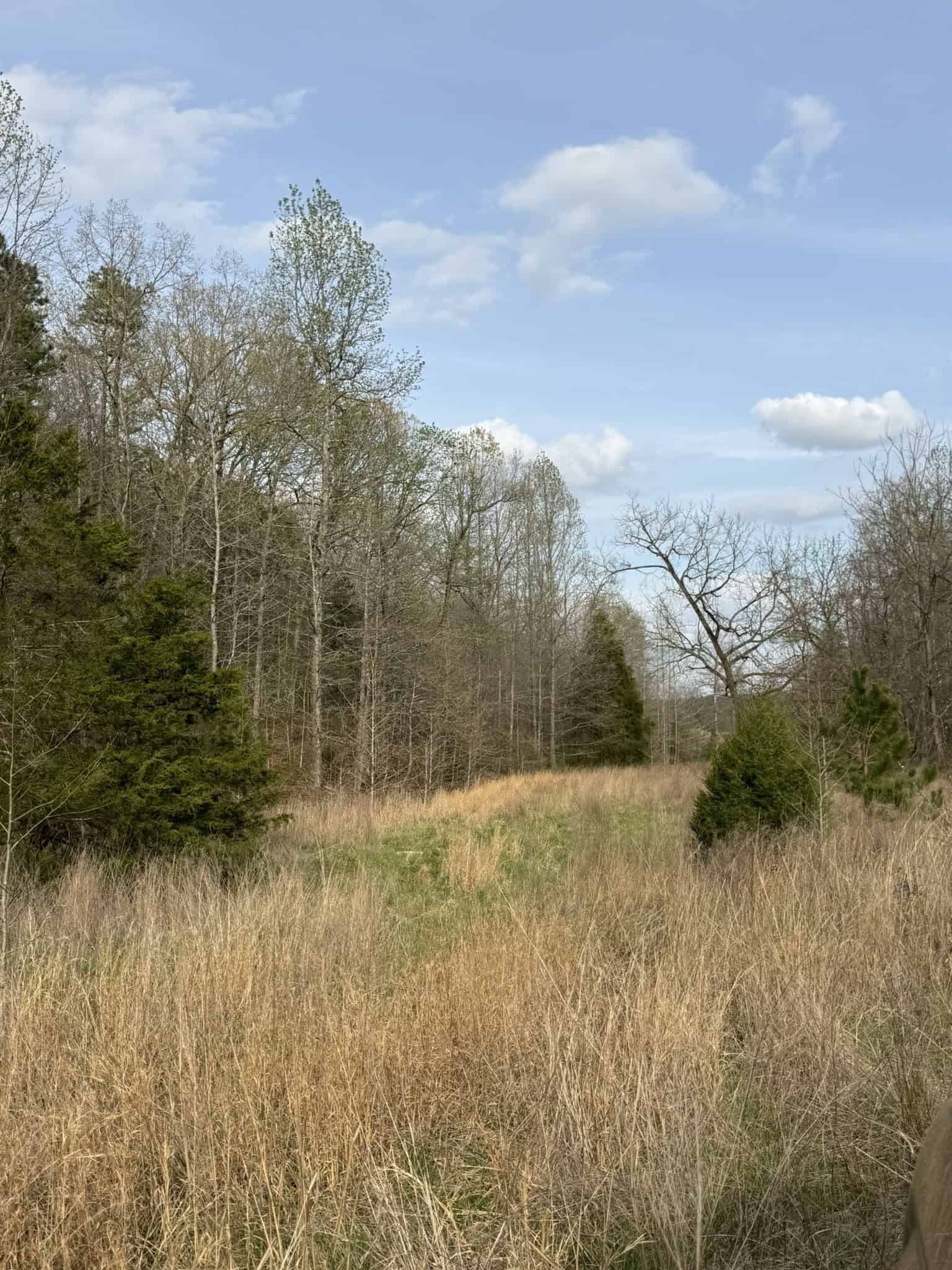 HUNTING LAND IN THE OZARK MOUNTAINS