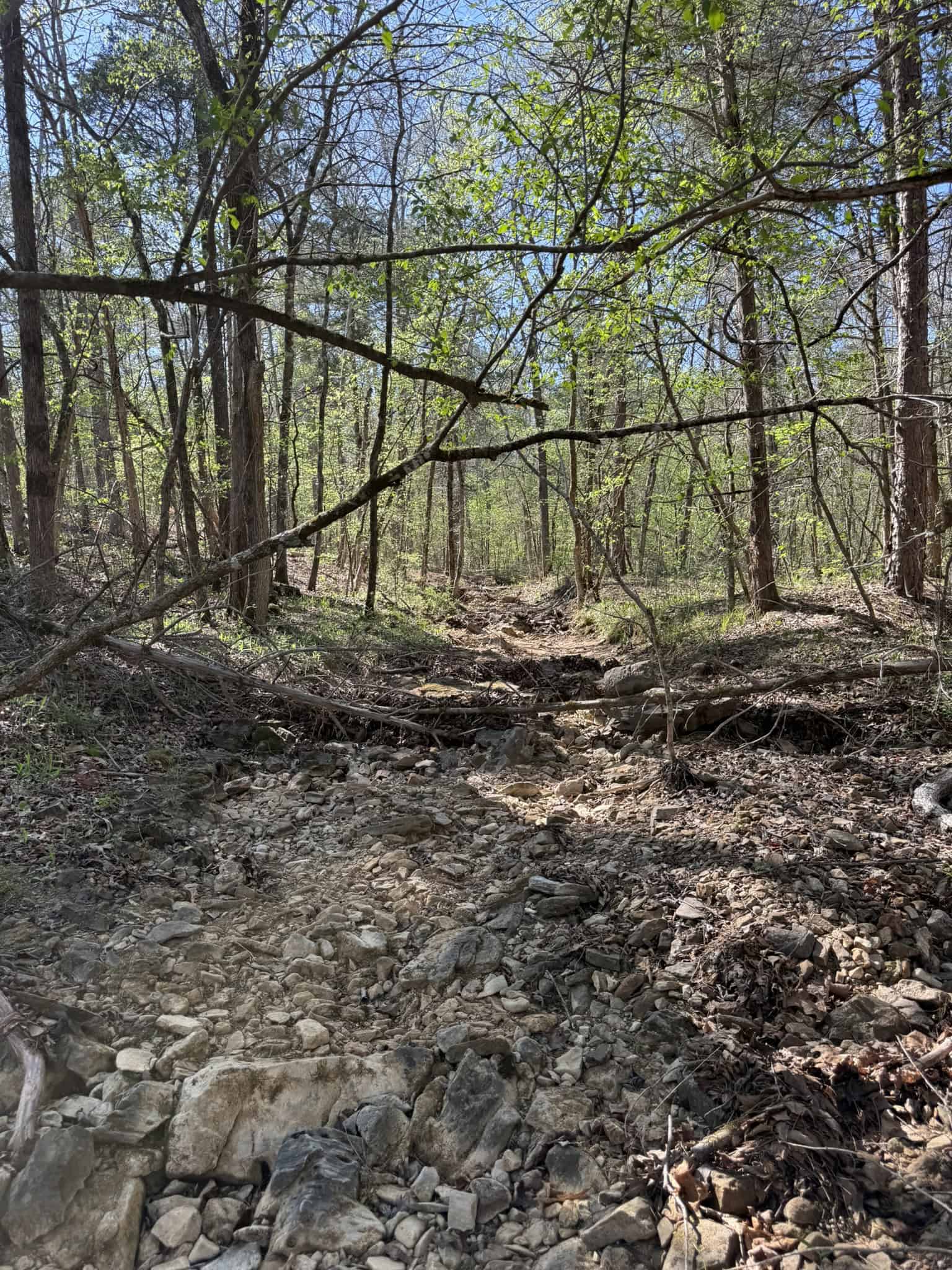 HUNTING AND RECREATIONAL LAND FOR SALE IN NORTH CENTRAL ARKANSAS