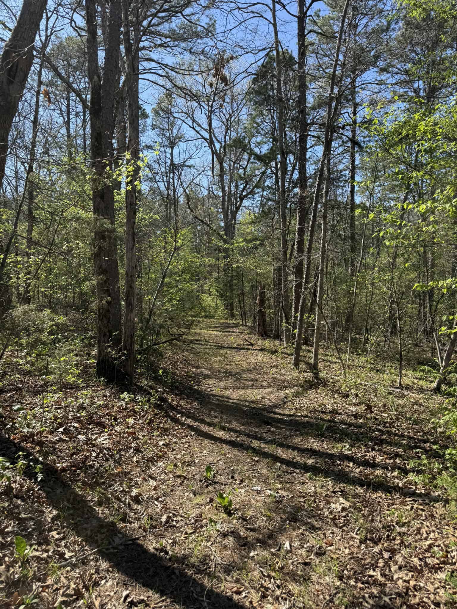 HUNTING AND RECREATIONAL LAND FOR SALE IN NORTH CENTRAL ARKANSAS