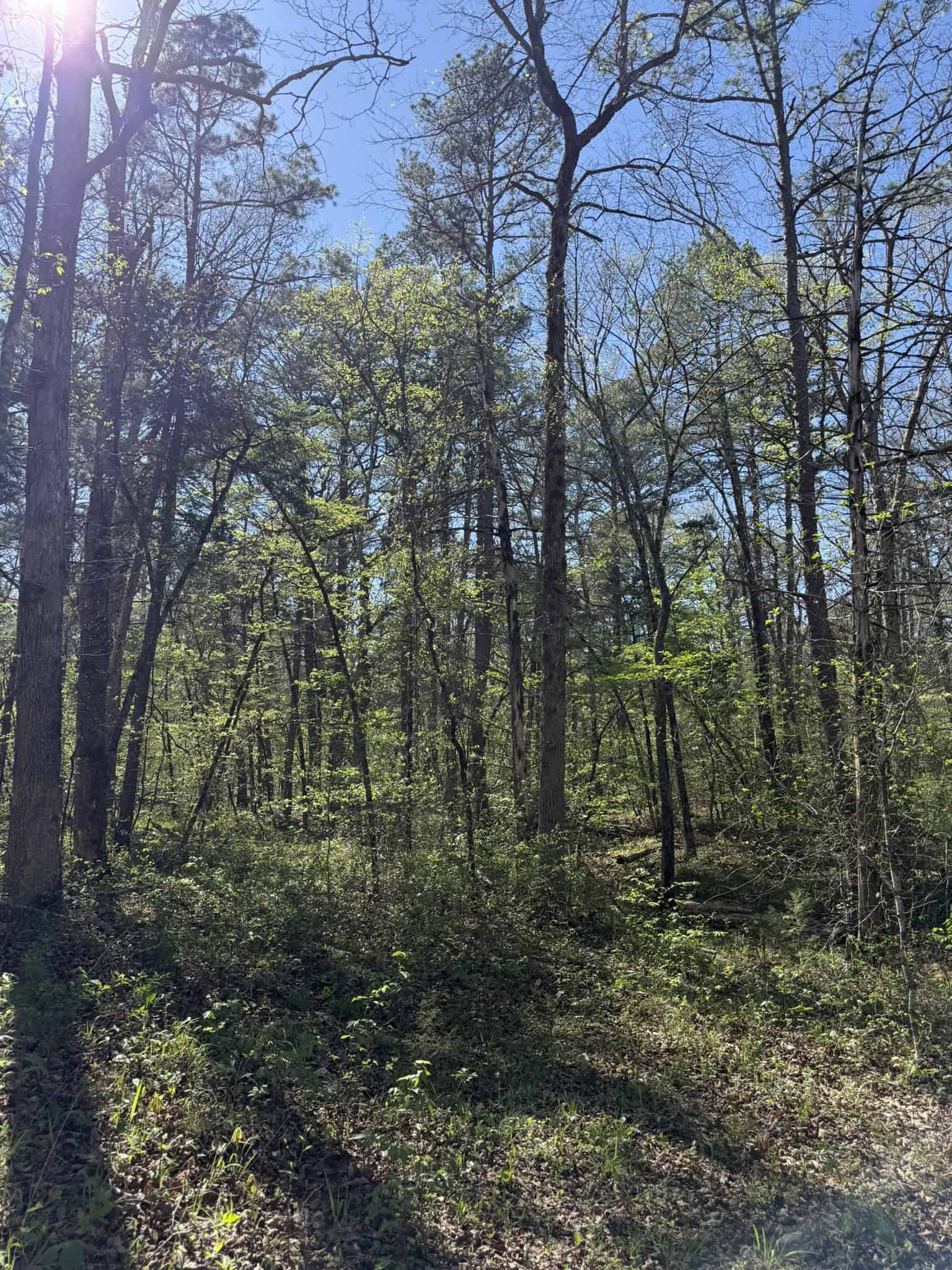 HUNTING AND RECREATIONAL LAND FOR SALE IN NORTH CENTRAL ARKANSAS