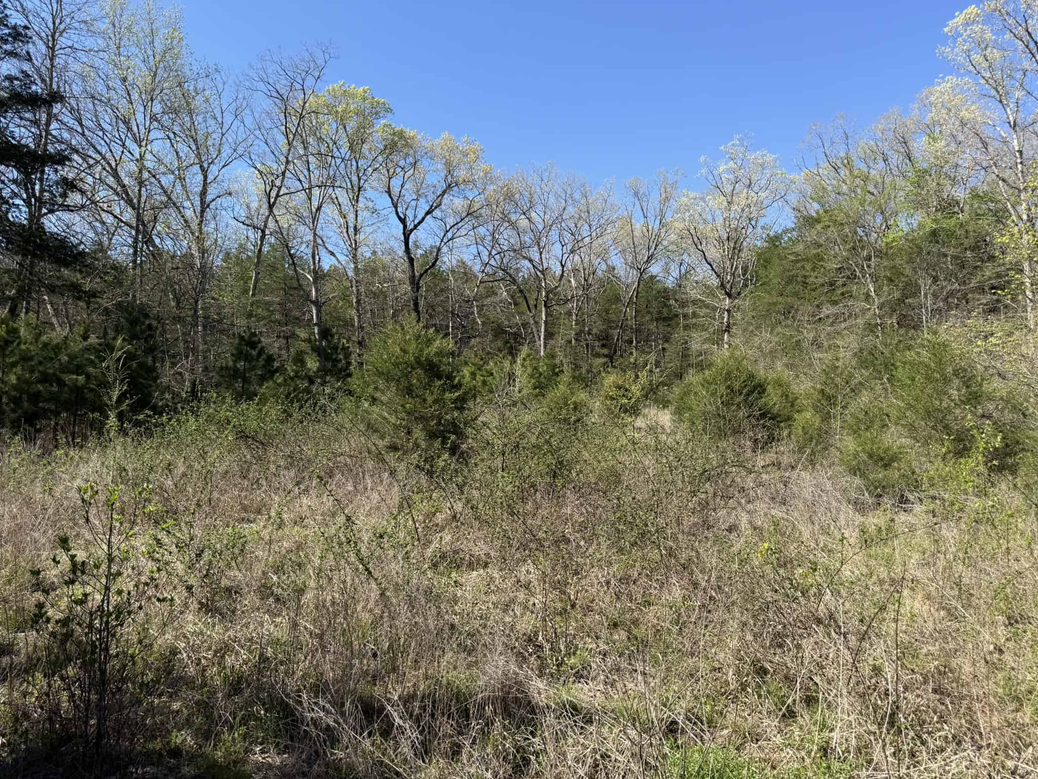 HUNTING AND RECREATIONAL LAND FOR SALE IN NORTH CENTRAL ARKANSAS