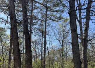 HUNTING AND RECREATIONAL LAND FOR SALE IN NORTH CENTRAL ARKANSAS
