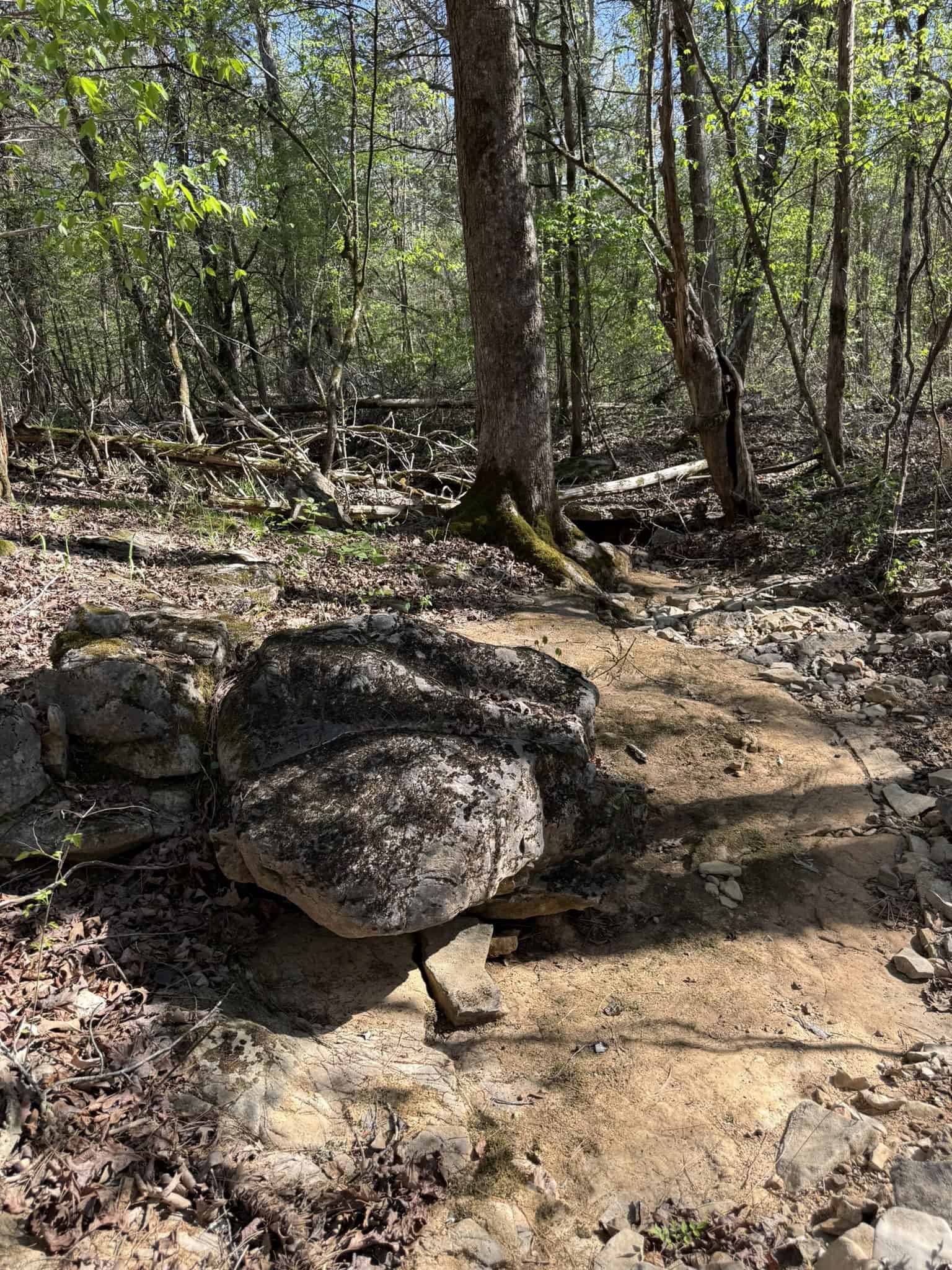 HUNTING AND RECREATIONAL LAND FOR SALE IN NORTH CENTRAL ARKANSAS