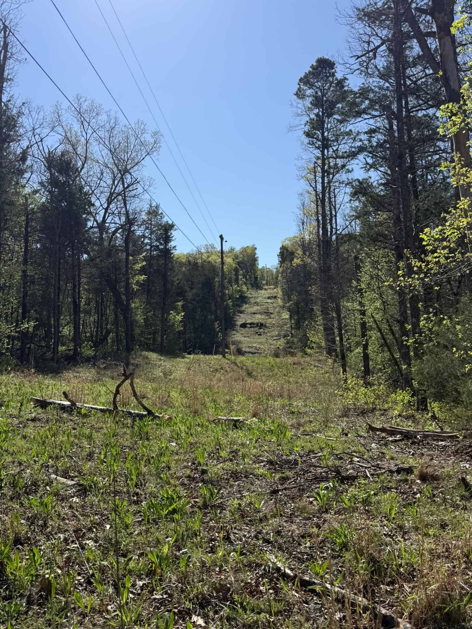 HUNTING AND RECREATIONAL LAND FOR SALE IN NORTH CENTRAL ARKANSAS