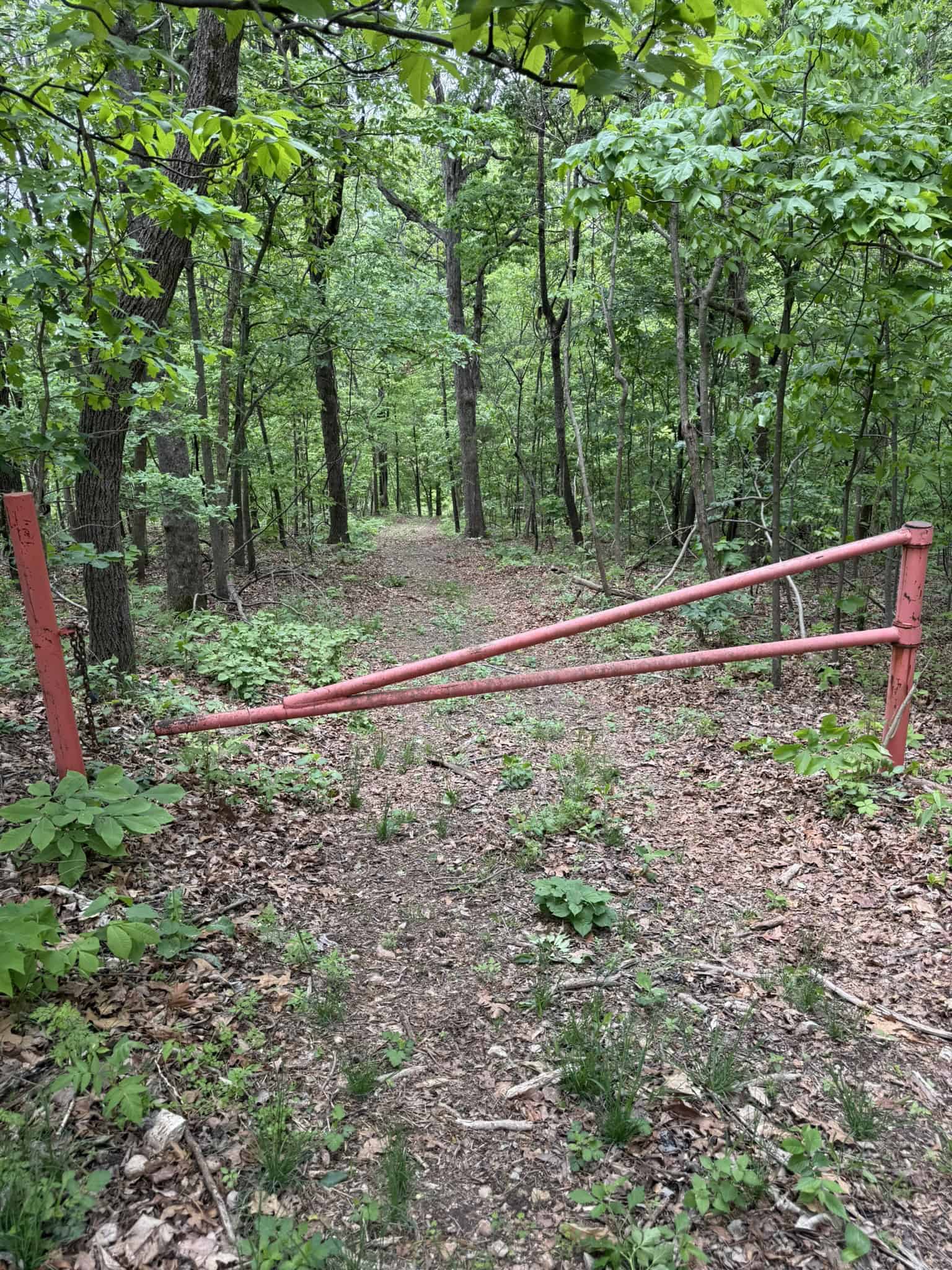 HUNTING AND RECREATIONAL LAND FOR SALE IN ARKANSAS OZARKS