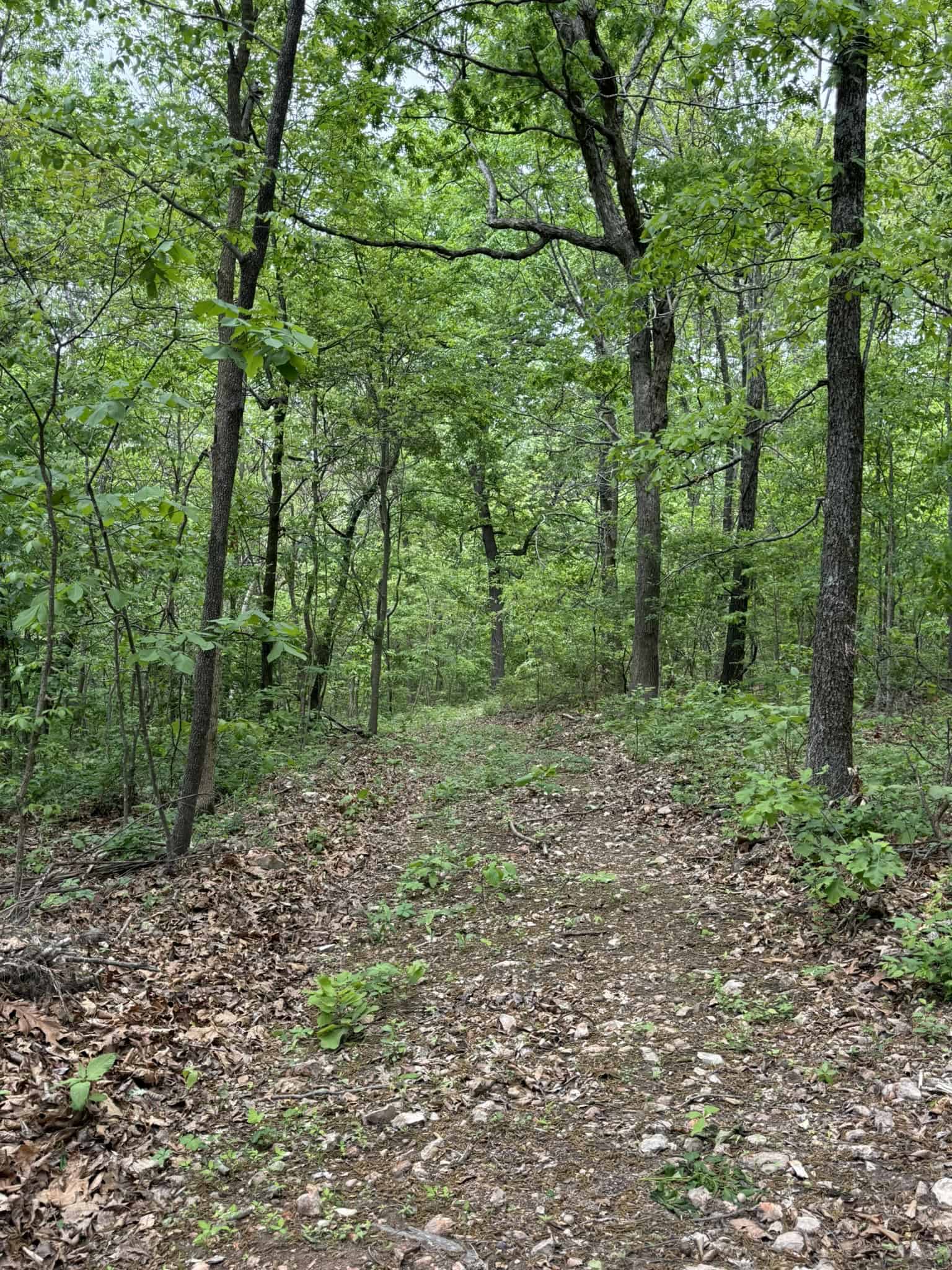 HUNTING AND RECREATIONAL LAND FOR SALE IN ARKANSAS OZARKS
