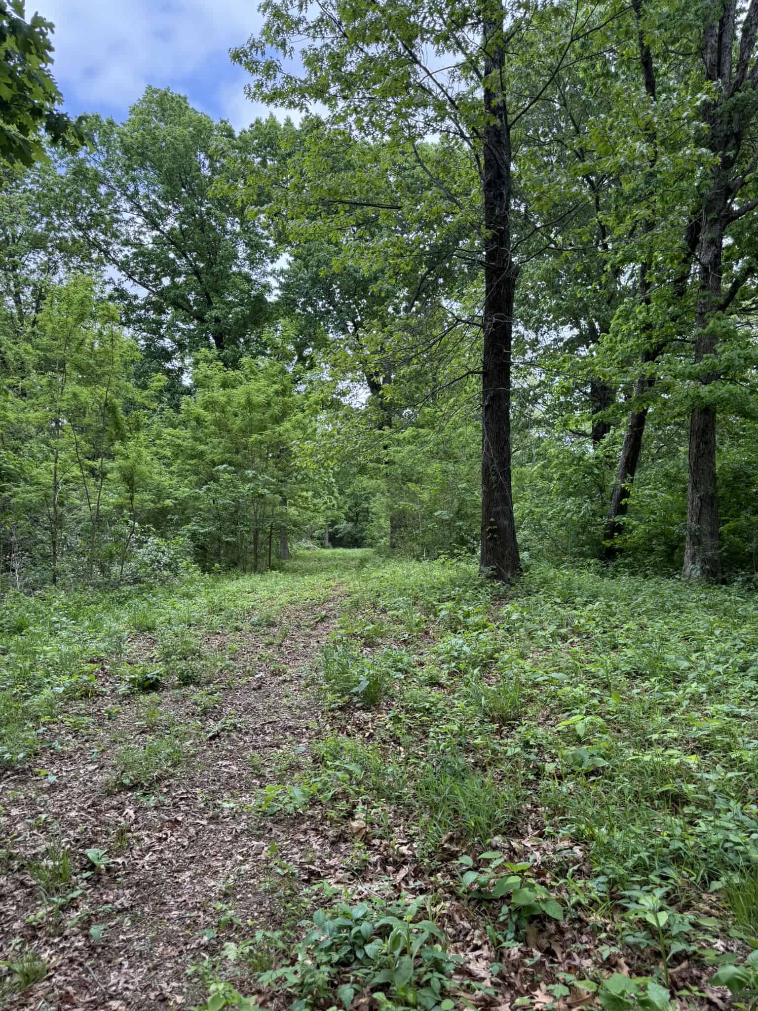 HUNTING AND RECREATIONAL LAND FOR SALE IN ARKANSAS OZARKS