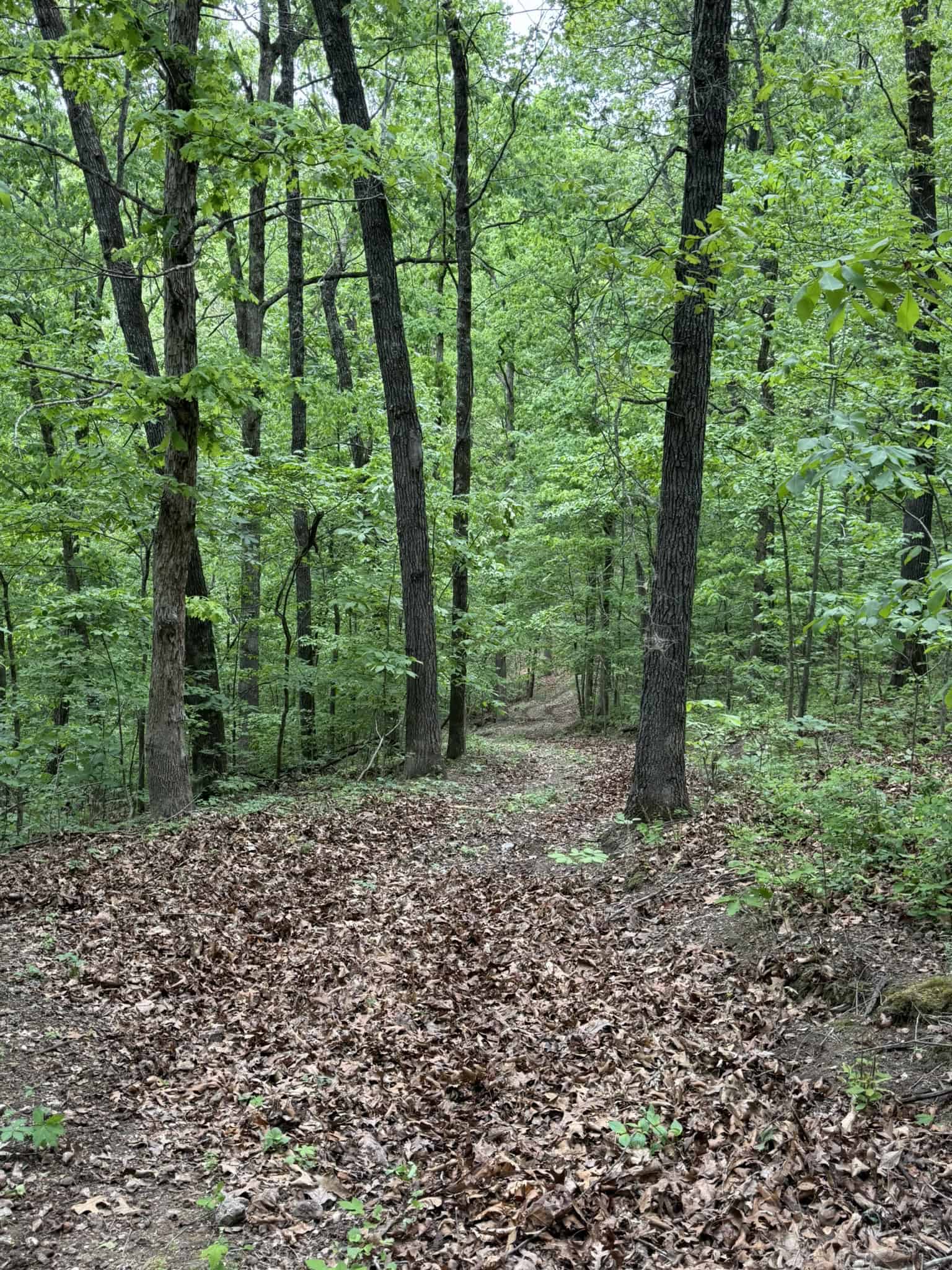 HUNTING AND RECREATIONAL LAND FOR SALE IN ARKANSAS OZARKS