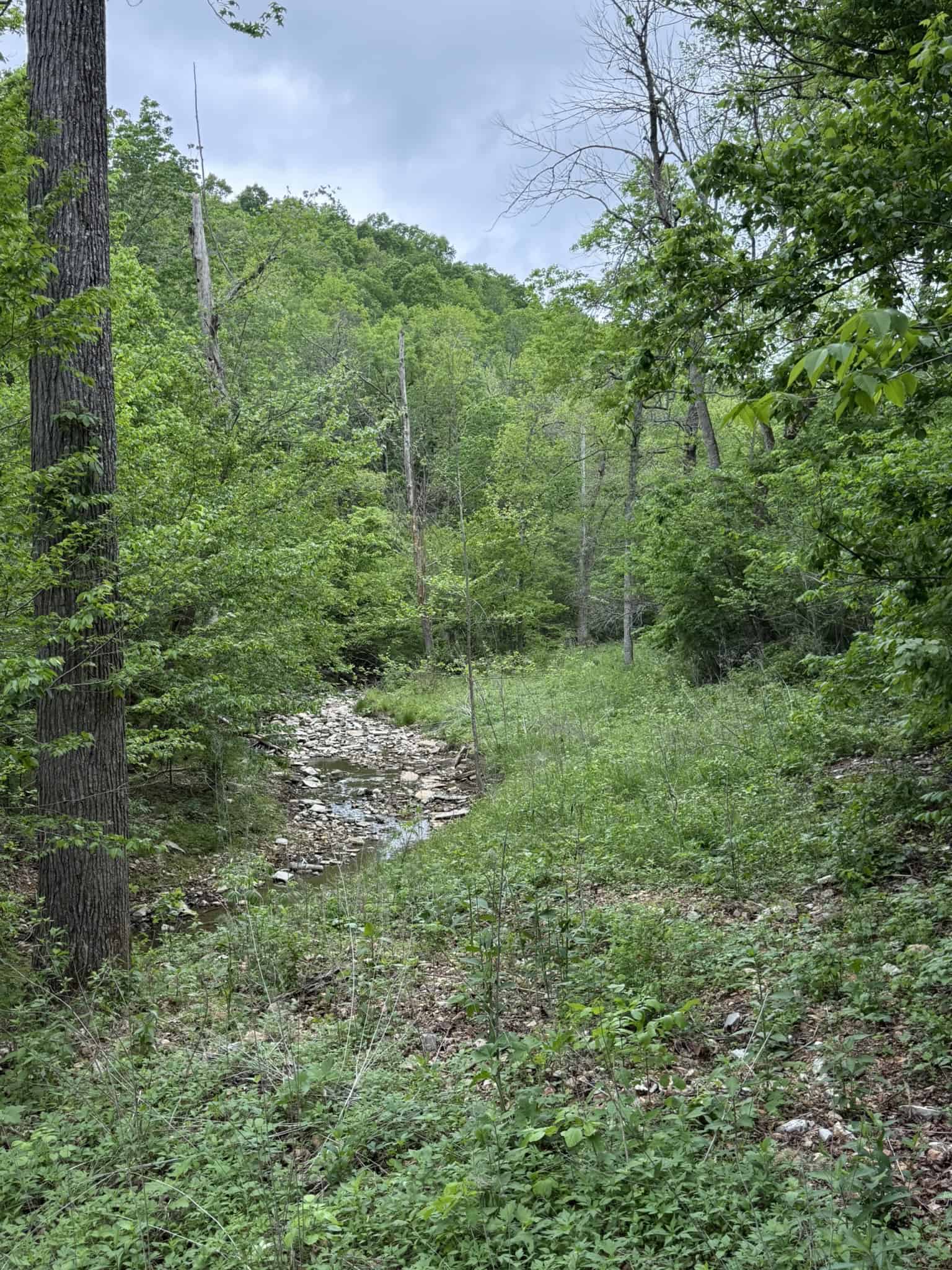 HUNTING AND RECREATIONAL LAND FOR SALE IN ARKANSAS OZARKS