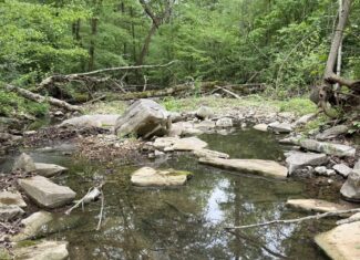 HUNTING AND RECREATIONAL LAND FOR SALE IN ARKANSAS OZARKS