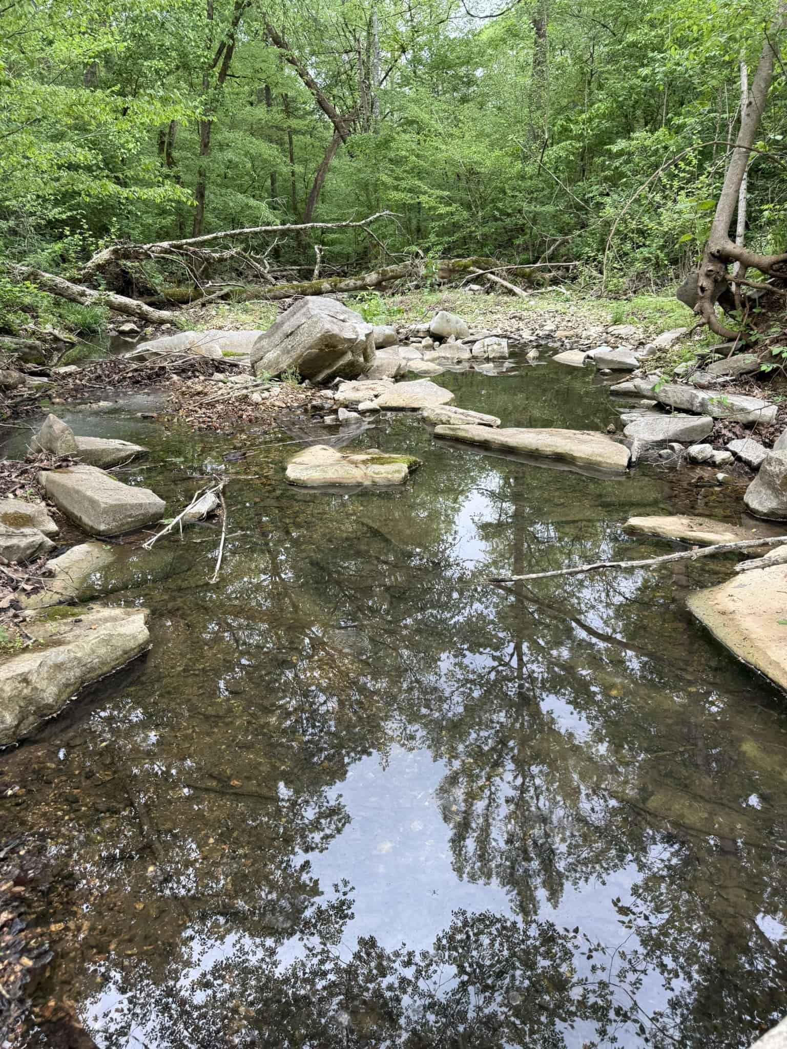 HUNTING AND RECREATIONAL LAND FOR SALE IN ARKANSAS OZARKS
