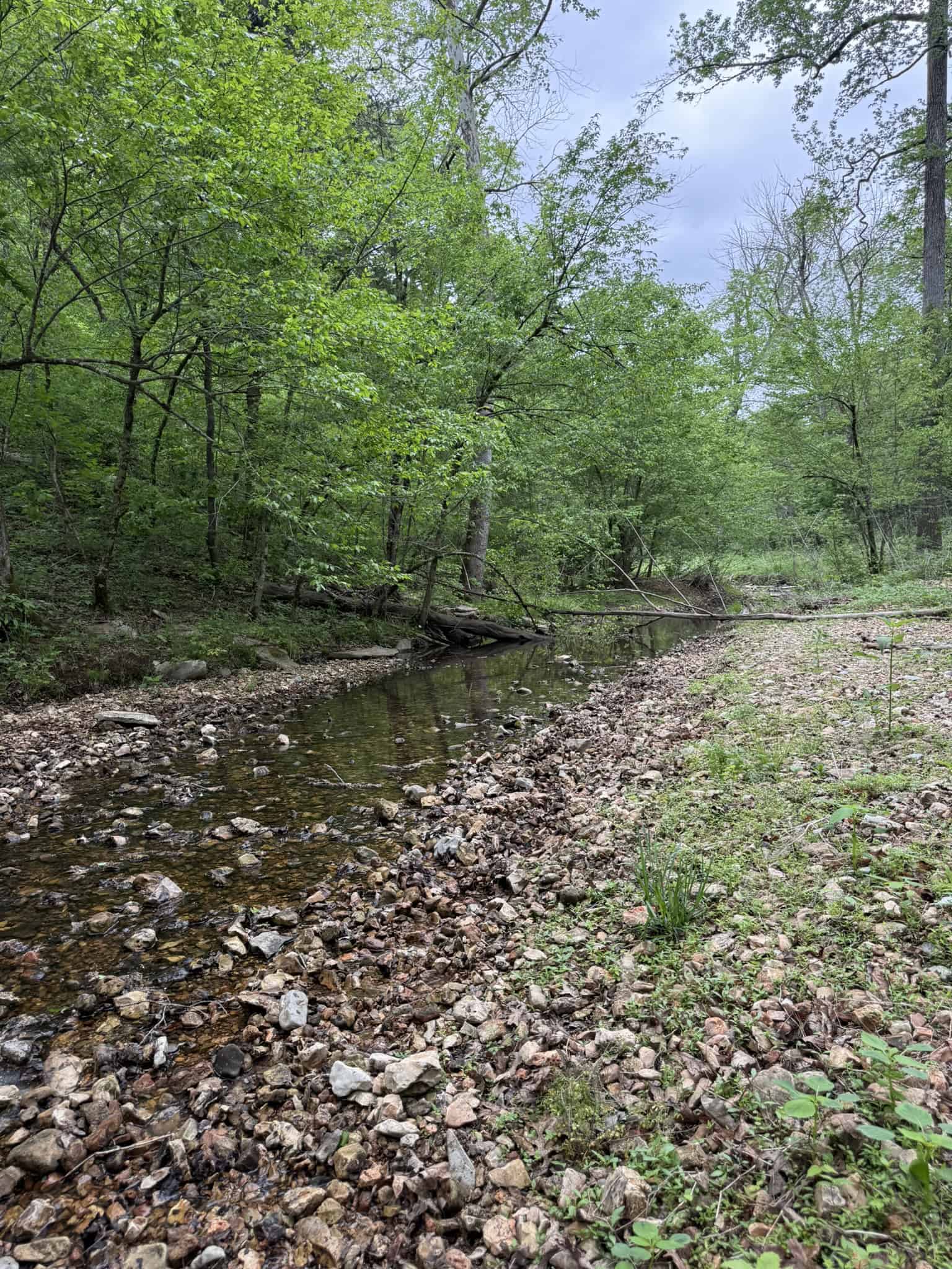 HUNTING AND RECREATIONAL LAND FOR SALE IN ARKANSAS OZARKS