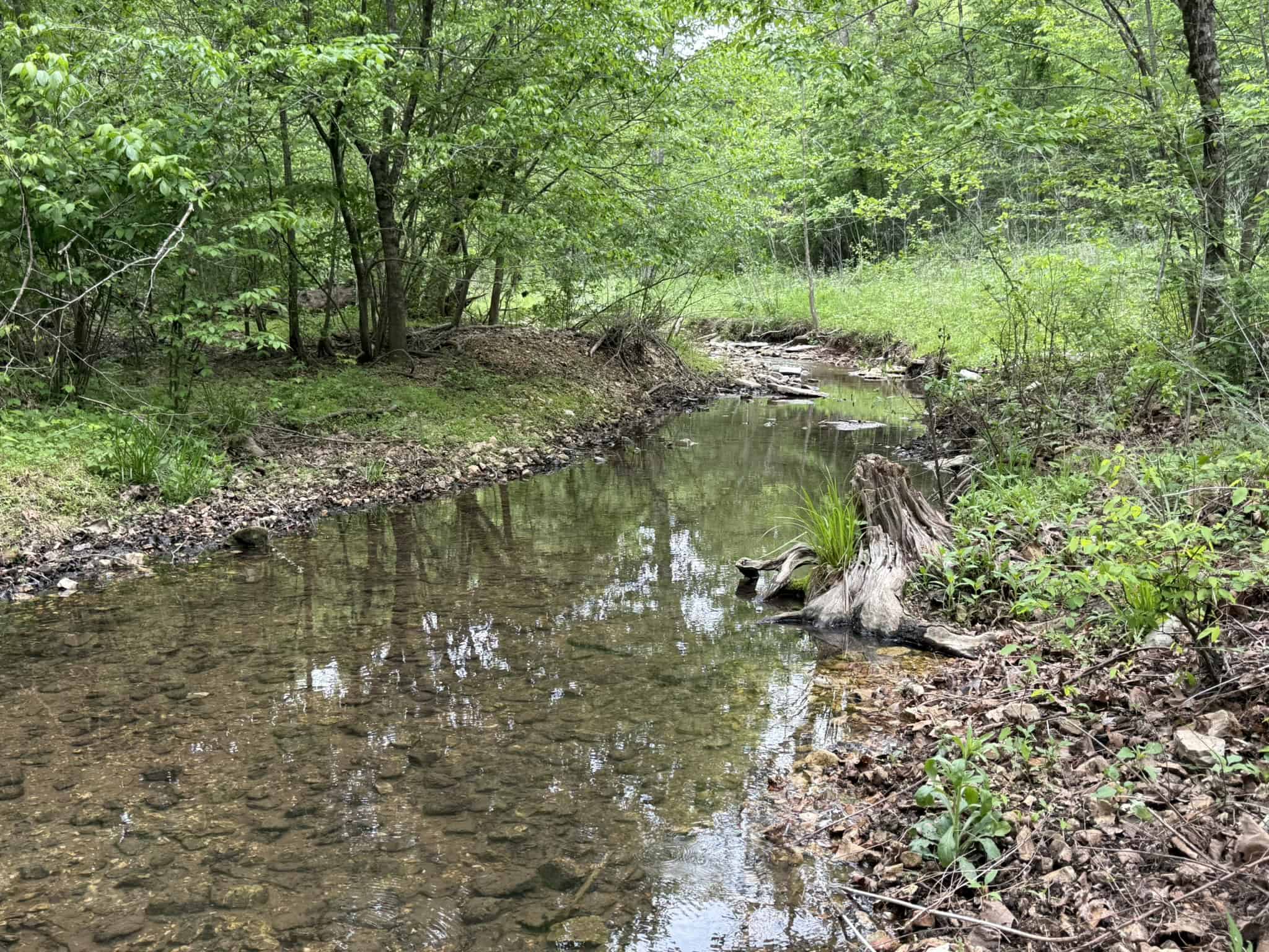 HUNTING AND RECREATIONAL LAND FOR SALE IN ARKANSAS OZARKS