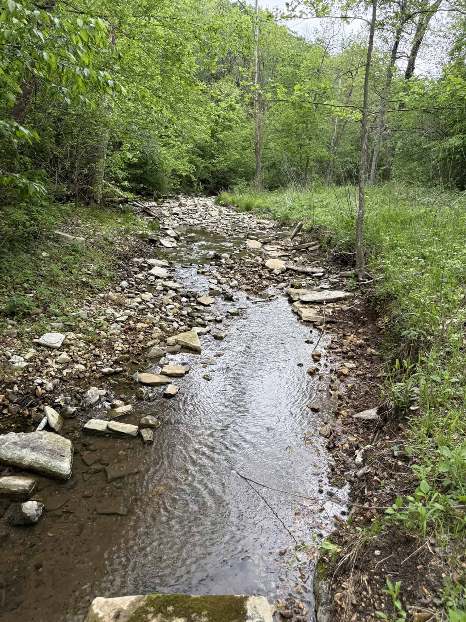 HUNTING AND RECREATIONAL LAND FOR SALE IN ARKANSAS OZARKS