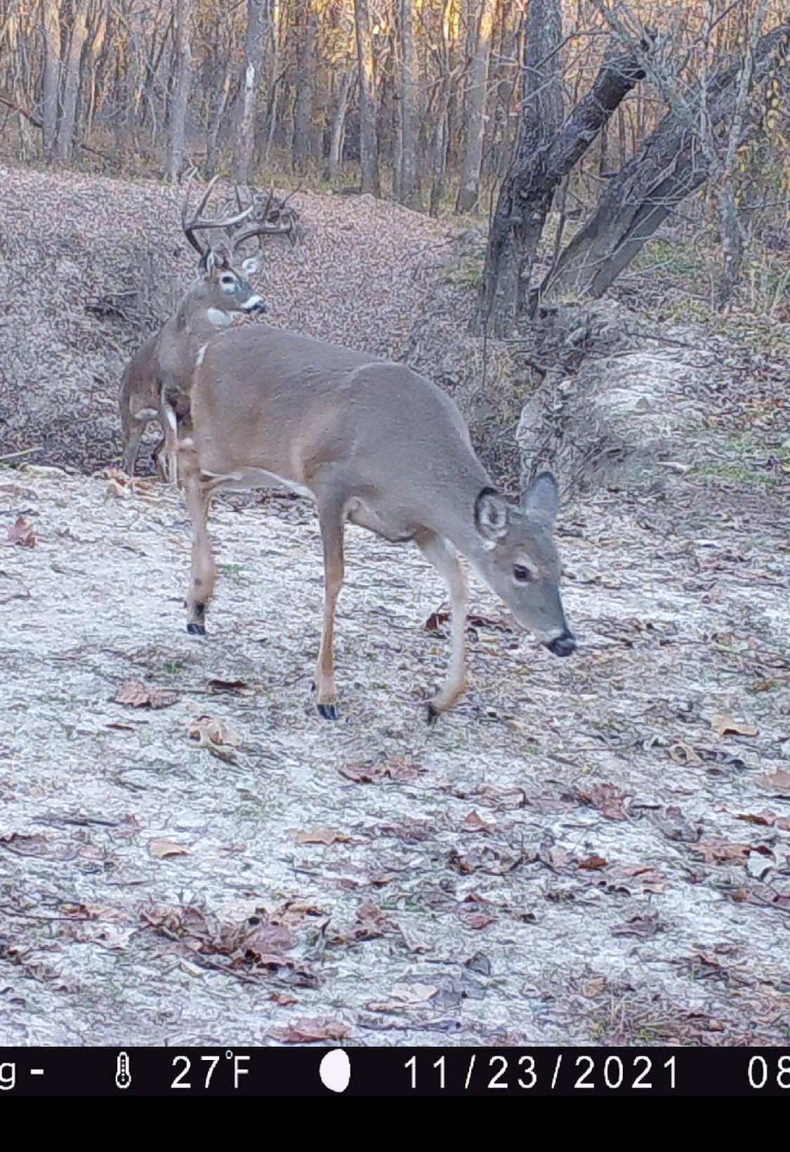 107 Se 40 Th Rd, Lamar, MO, 64759