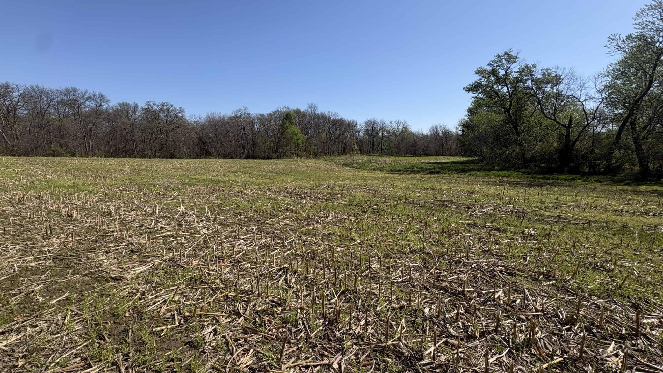 Hunting, Row Crop & CRP near Eagleville, MO