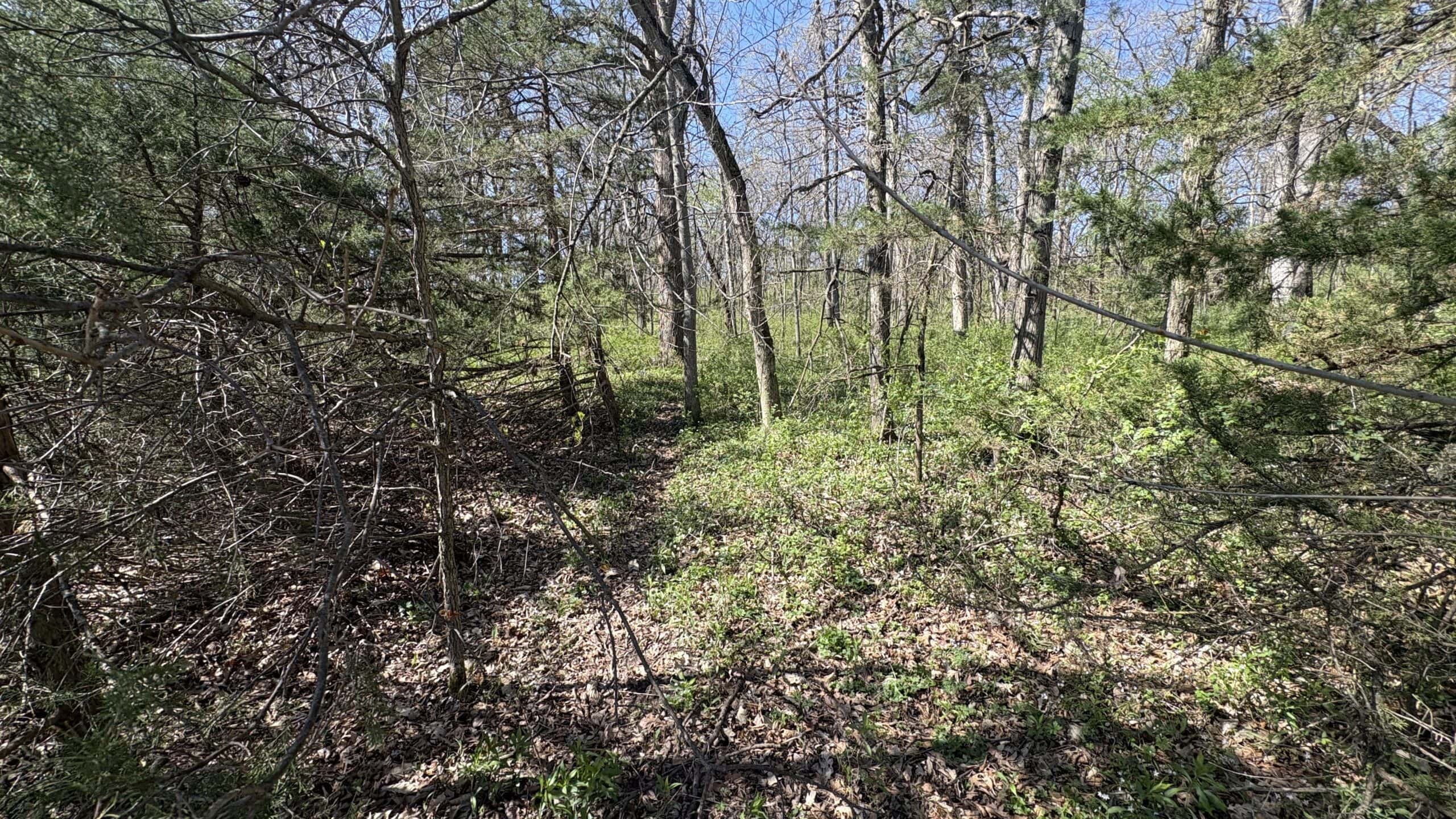 Hunting, Row Crop & CRP near Eagleville, MO