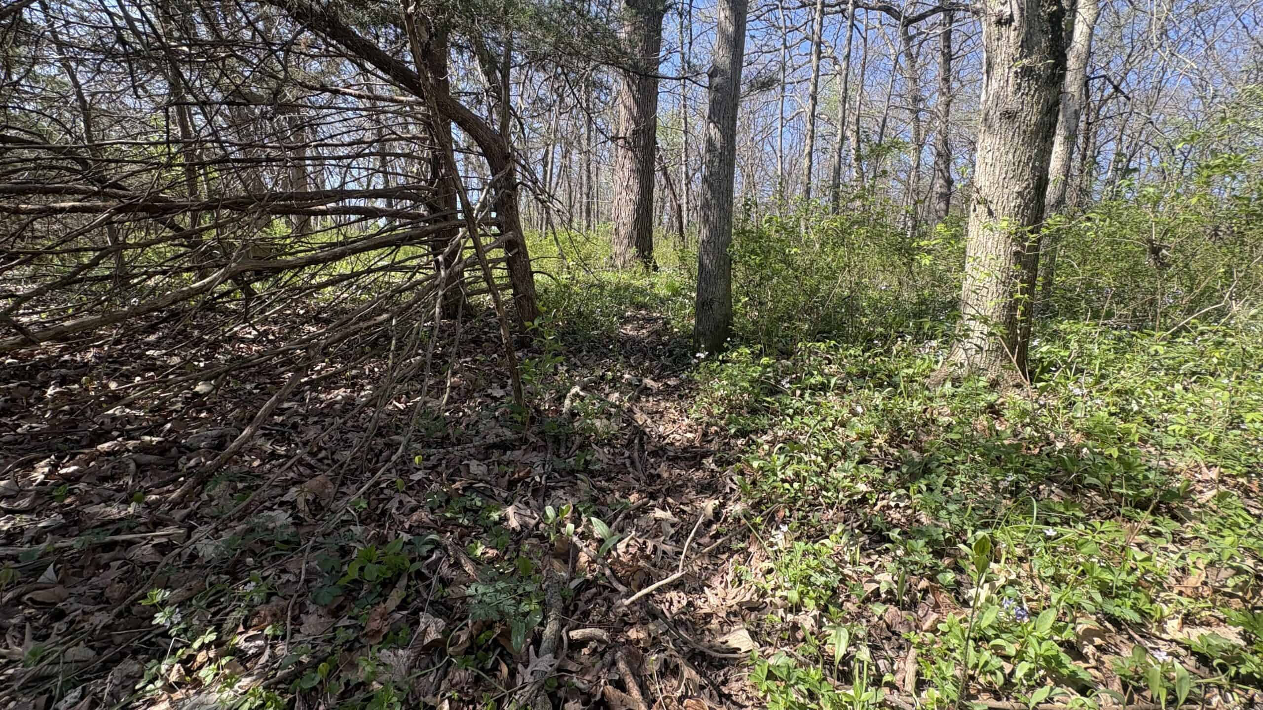 Hunting, Row Crop & CRP near Eagleville, MO