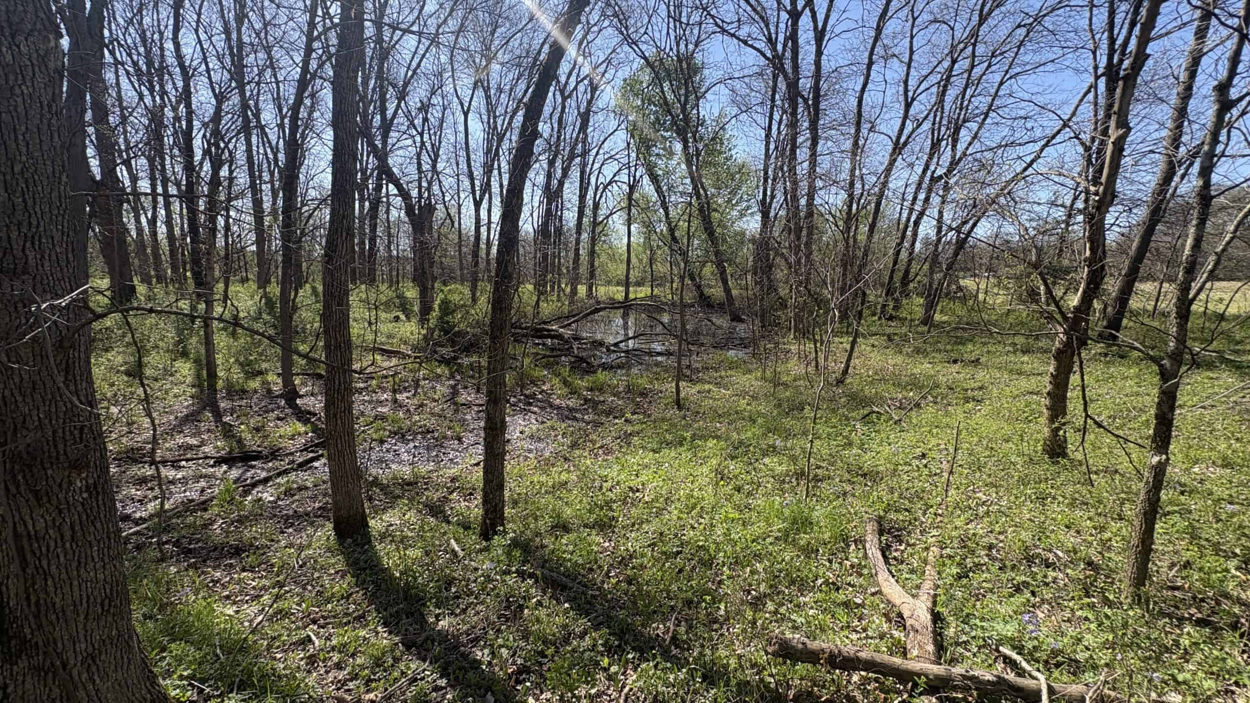 Hunting, Row Crop & CRP near Eagleville, MO