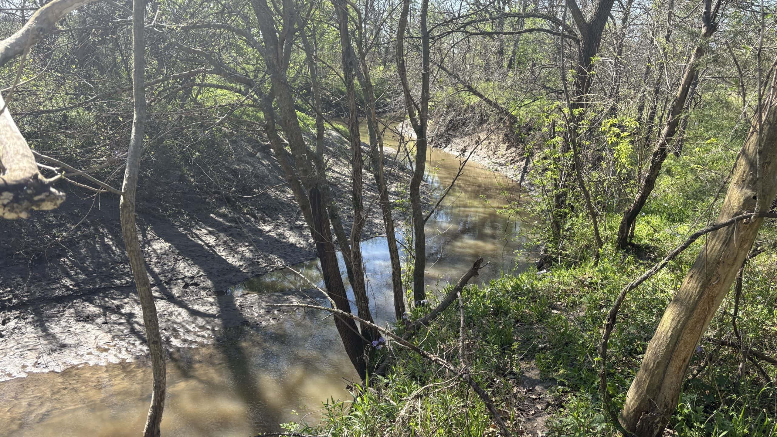 Hunting, Row Crop & CRP near Eagleville, MO