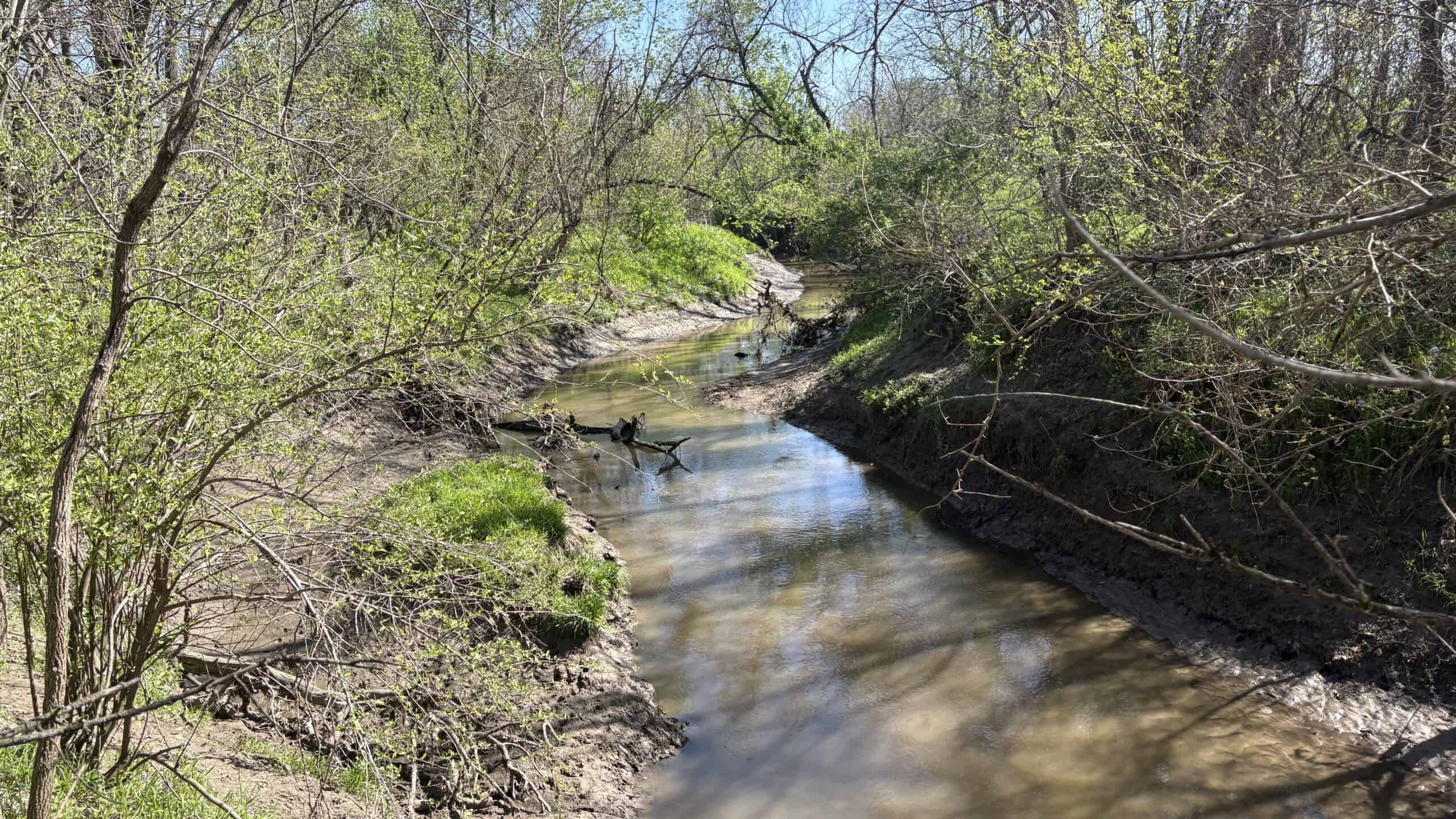 Hunting, Row Crop & CRP near Eagleville, MO