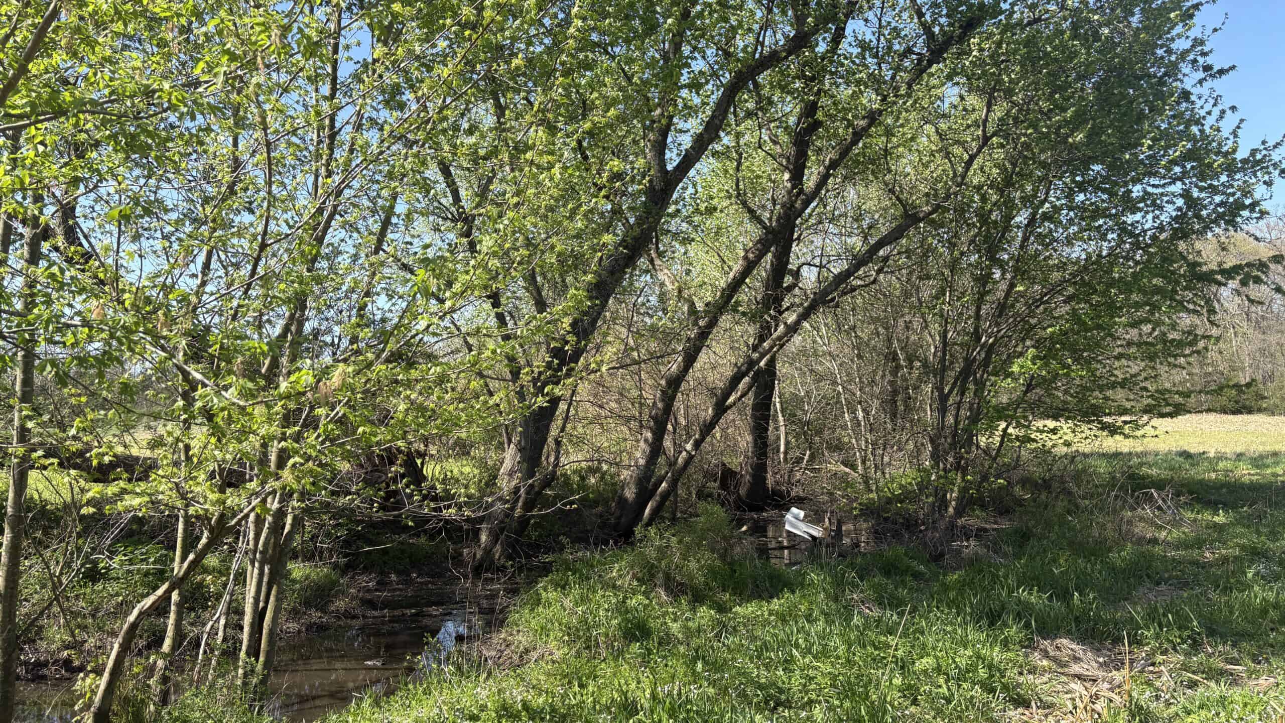 Hunting, Row Crop & CRP near Eagleville, MO