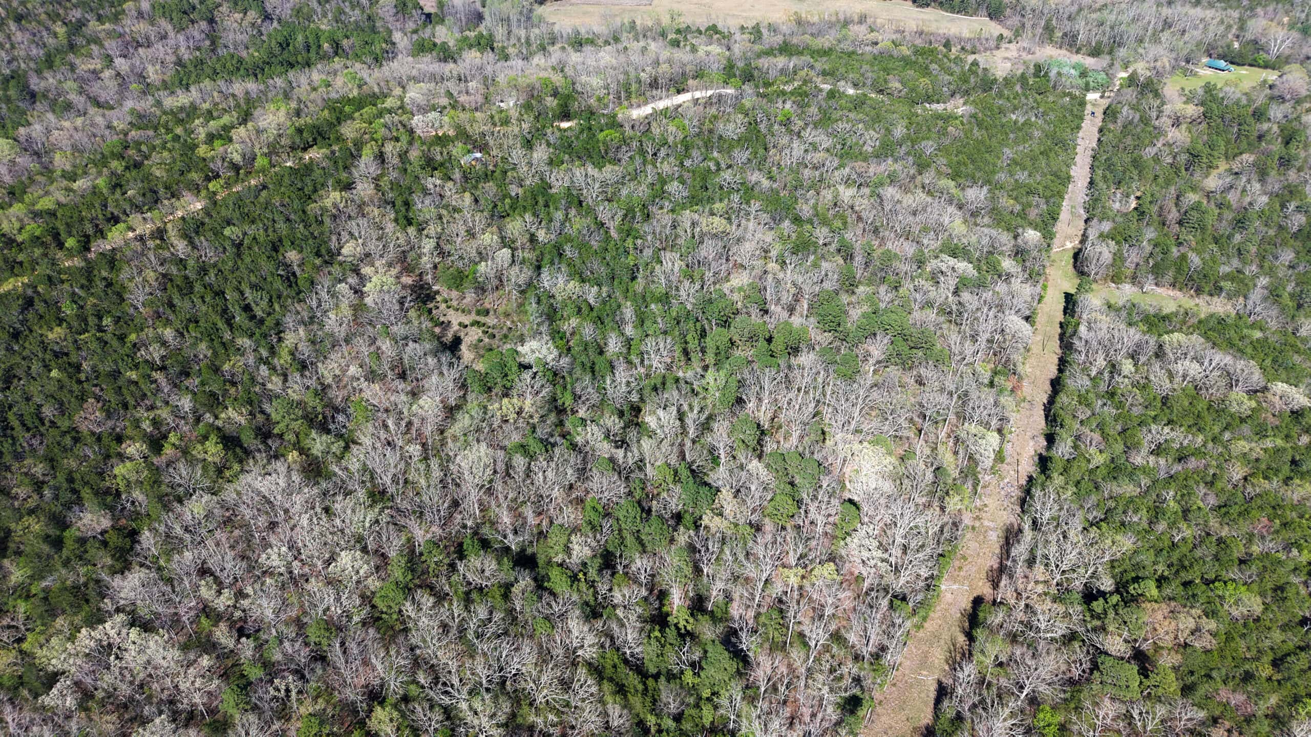 HUNTING AND RECREATIONAL LAND FOR SALE IN NORTH CENTRAL ARKANSAS