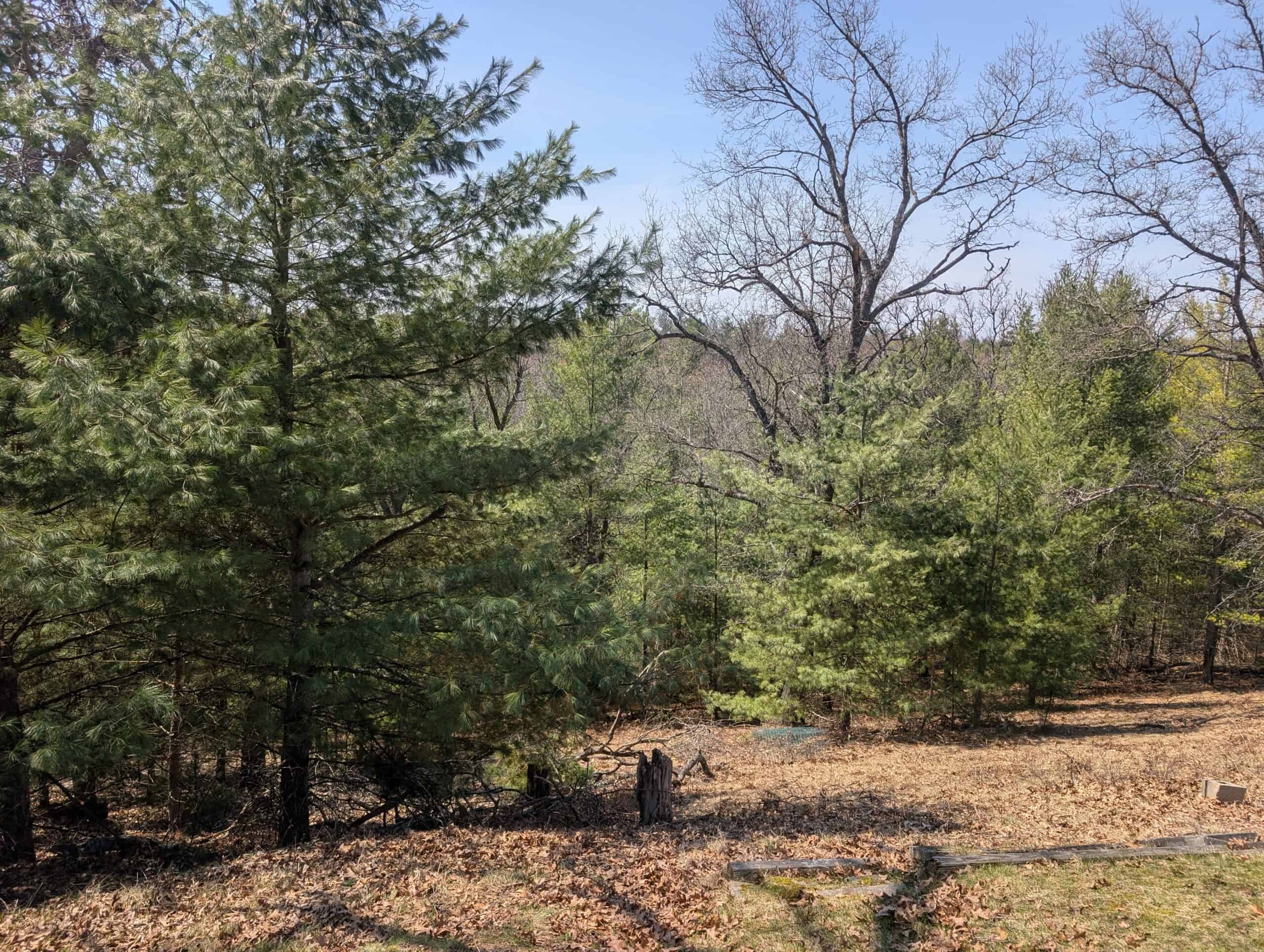 Canada Creek Ranch Home , Atlanta MI –  Private Hunting & Fishing Club