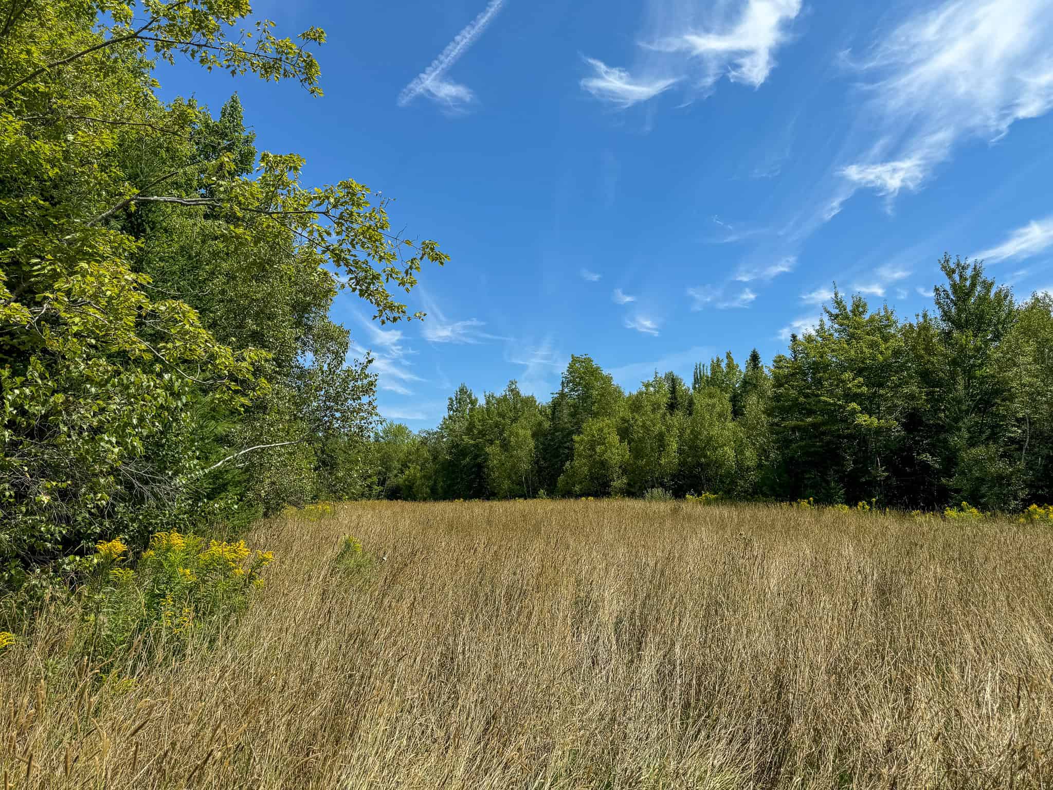 Expansive 325± Acre Land Parcel – Plymouth, ME