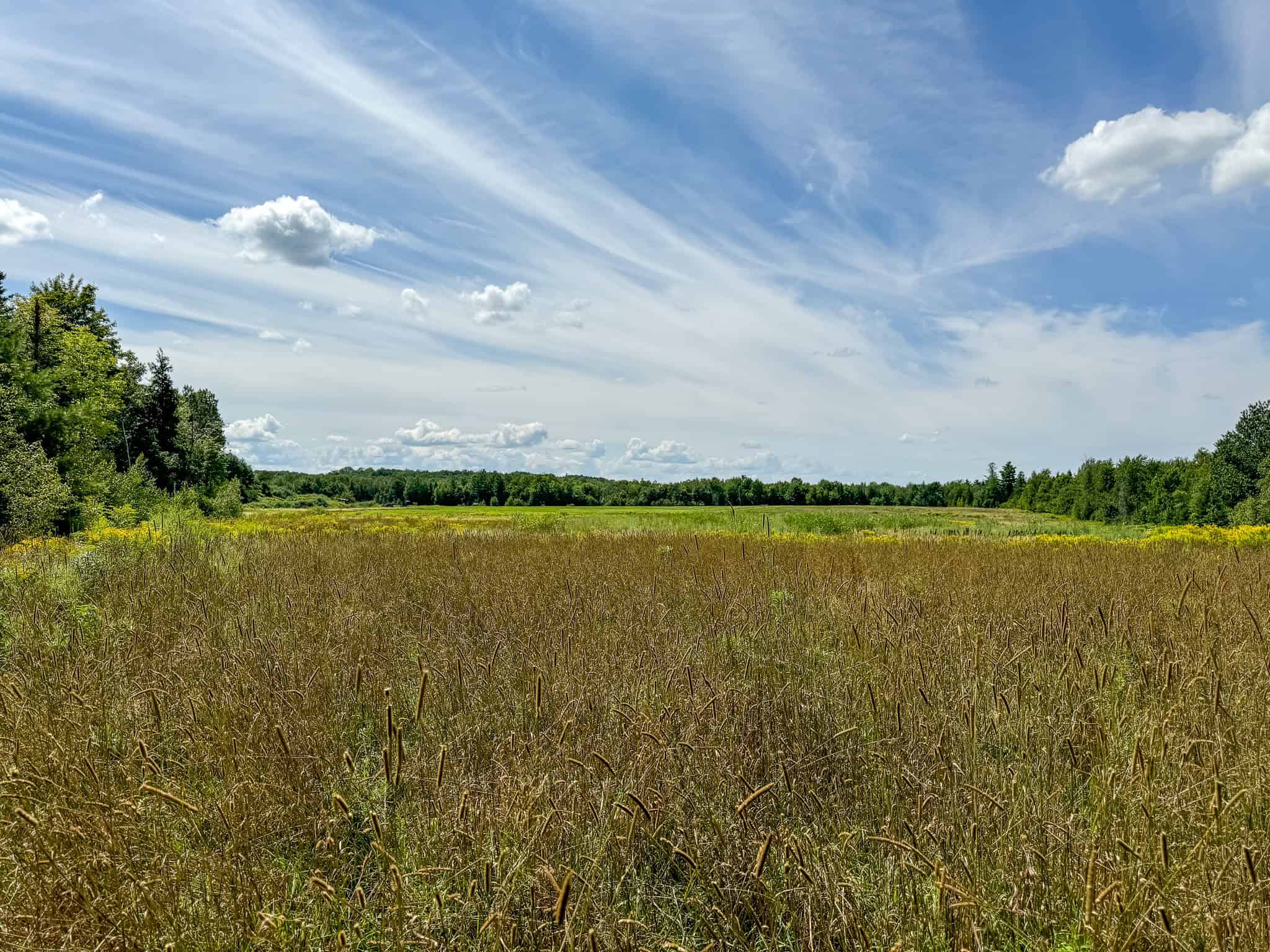 Expansive 325± Acre Land Parcel – Plymouth, ME