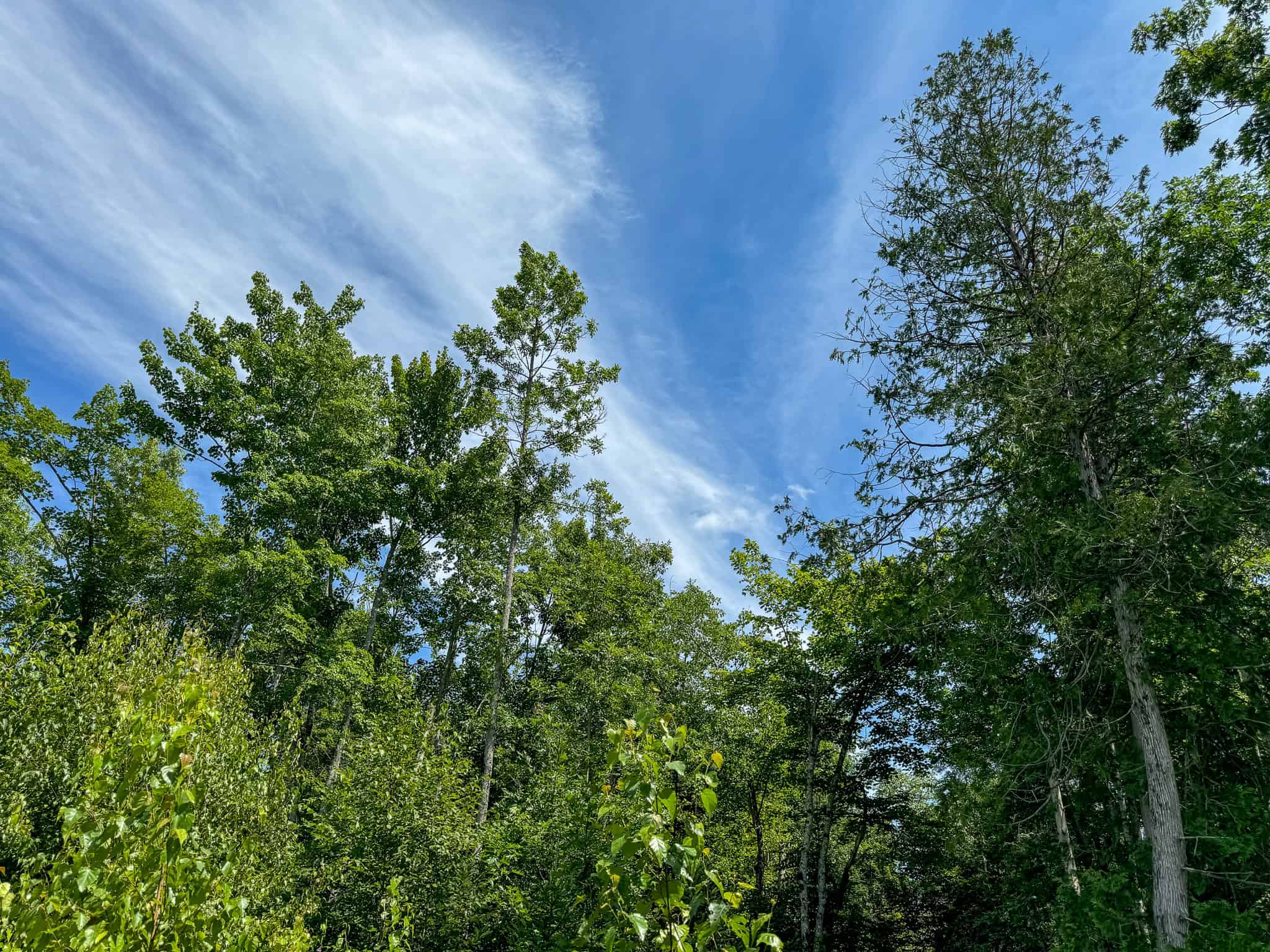 Expansive 325± Acre Land Parcel – Plymouth, ME