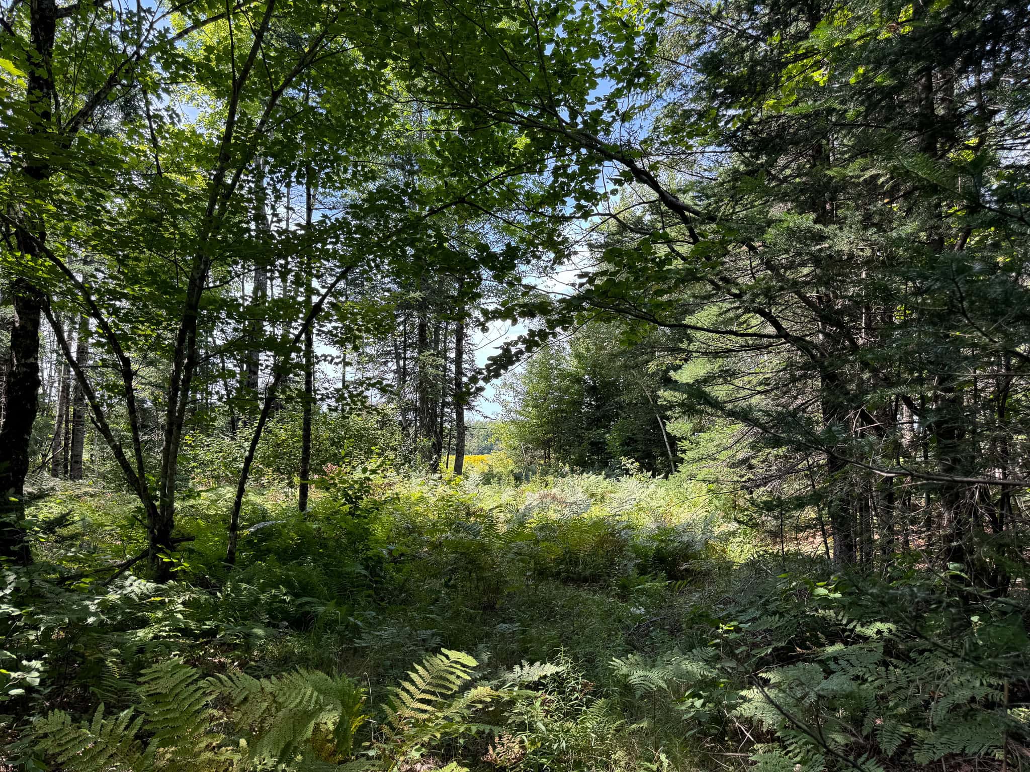 Expansive 325± Acre Land Parcel – Plymouth, ME