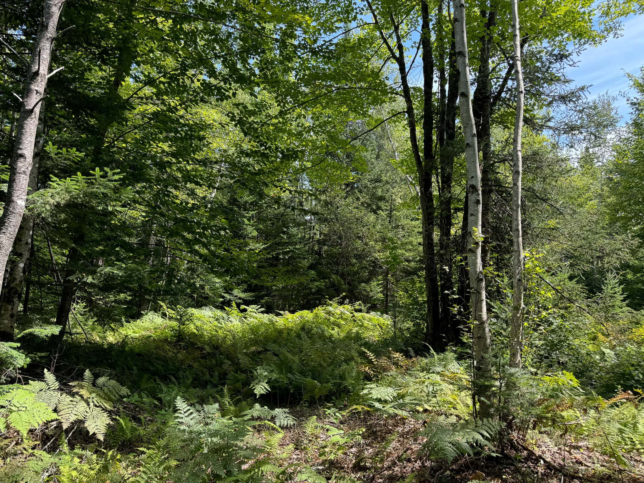 Expansive 325± Acre Land Parcel – Plymouth, ME