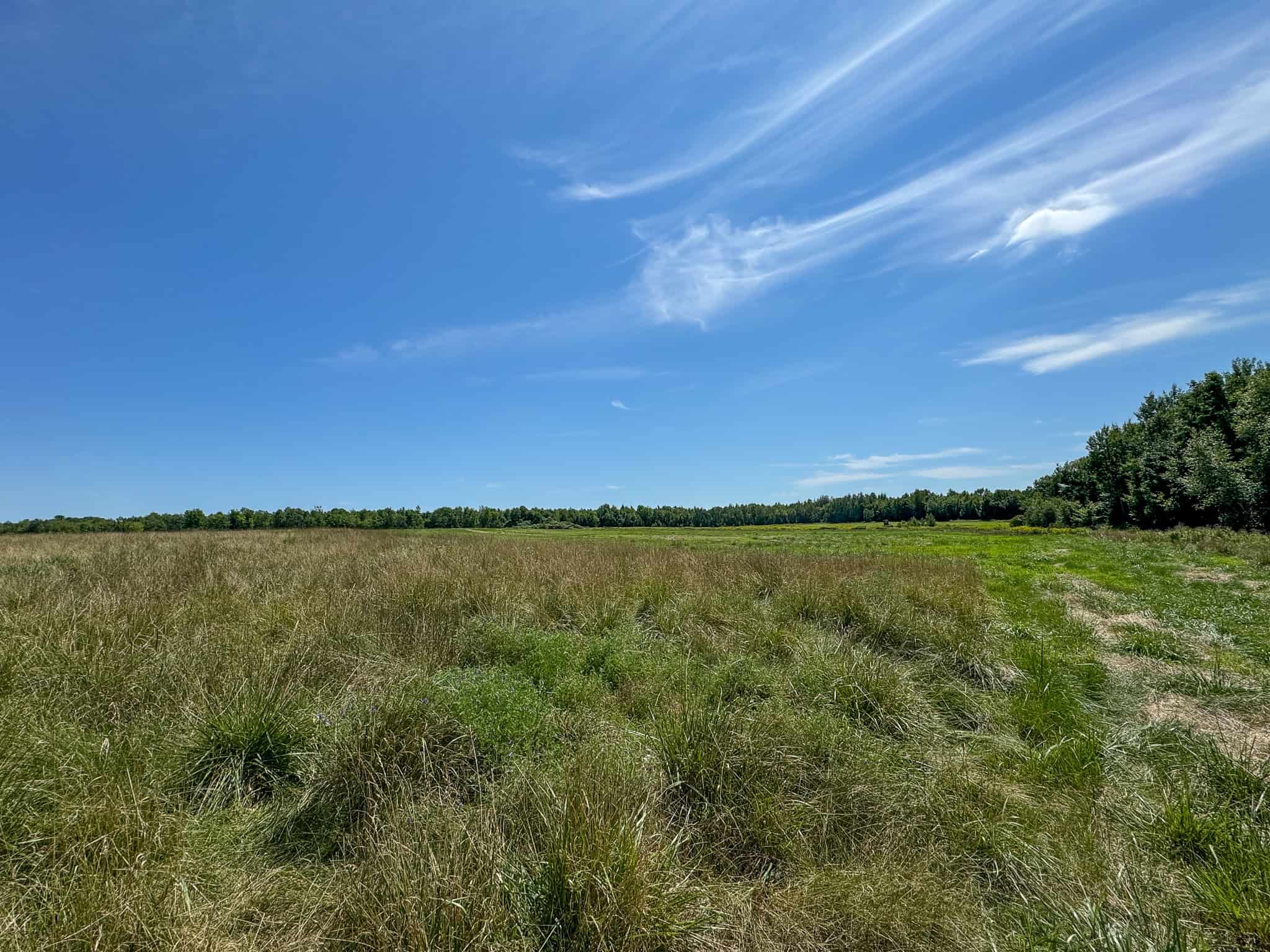 Expansive 325± Acre Land Parcel – Plymouth, ME