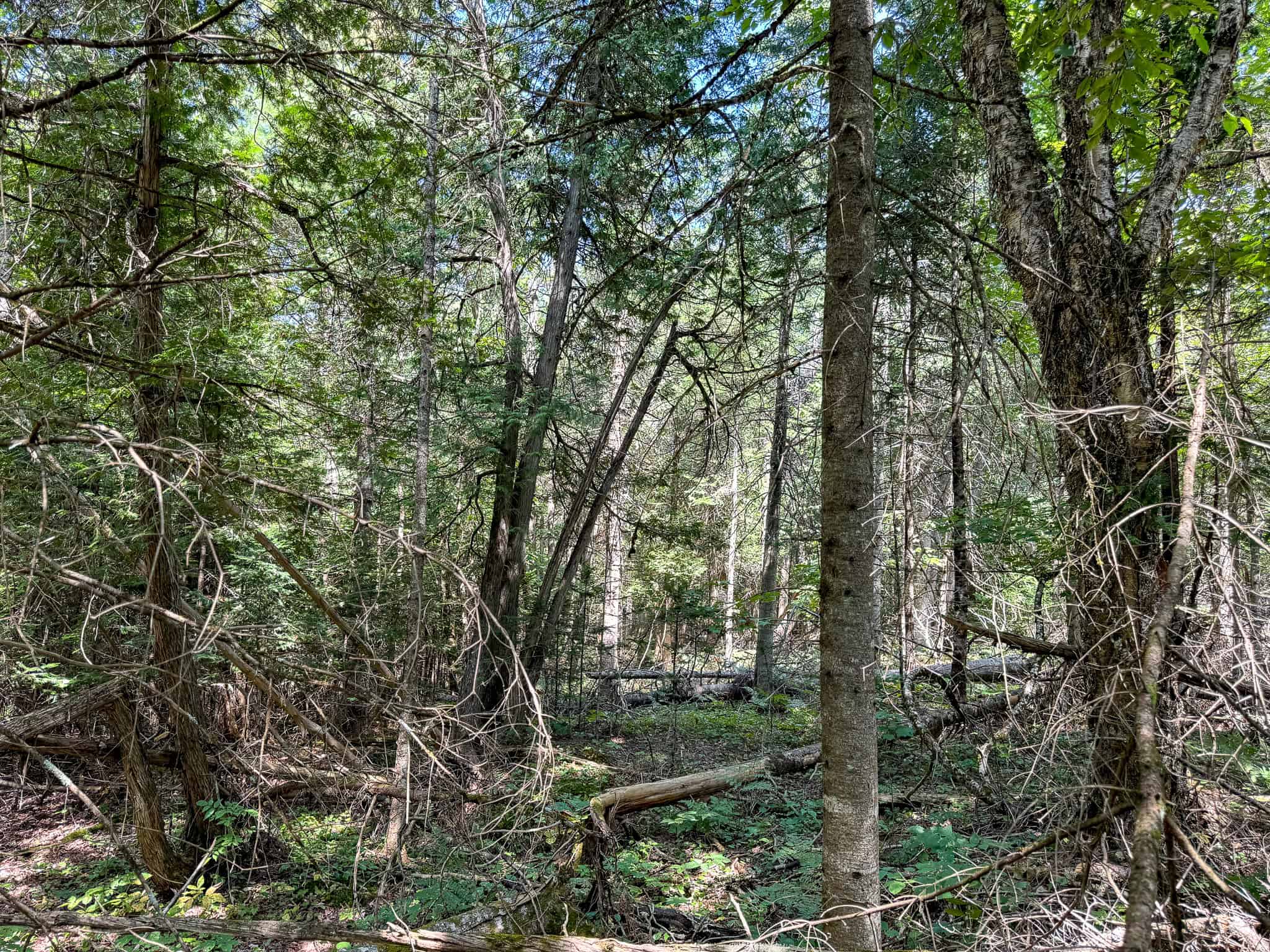 Expansive 325± Acre Land Parcel – Plymouth, ME