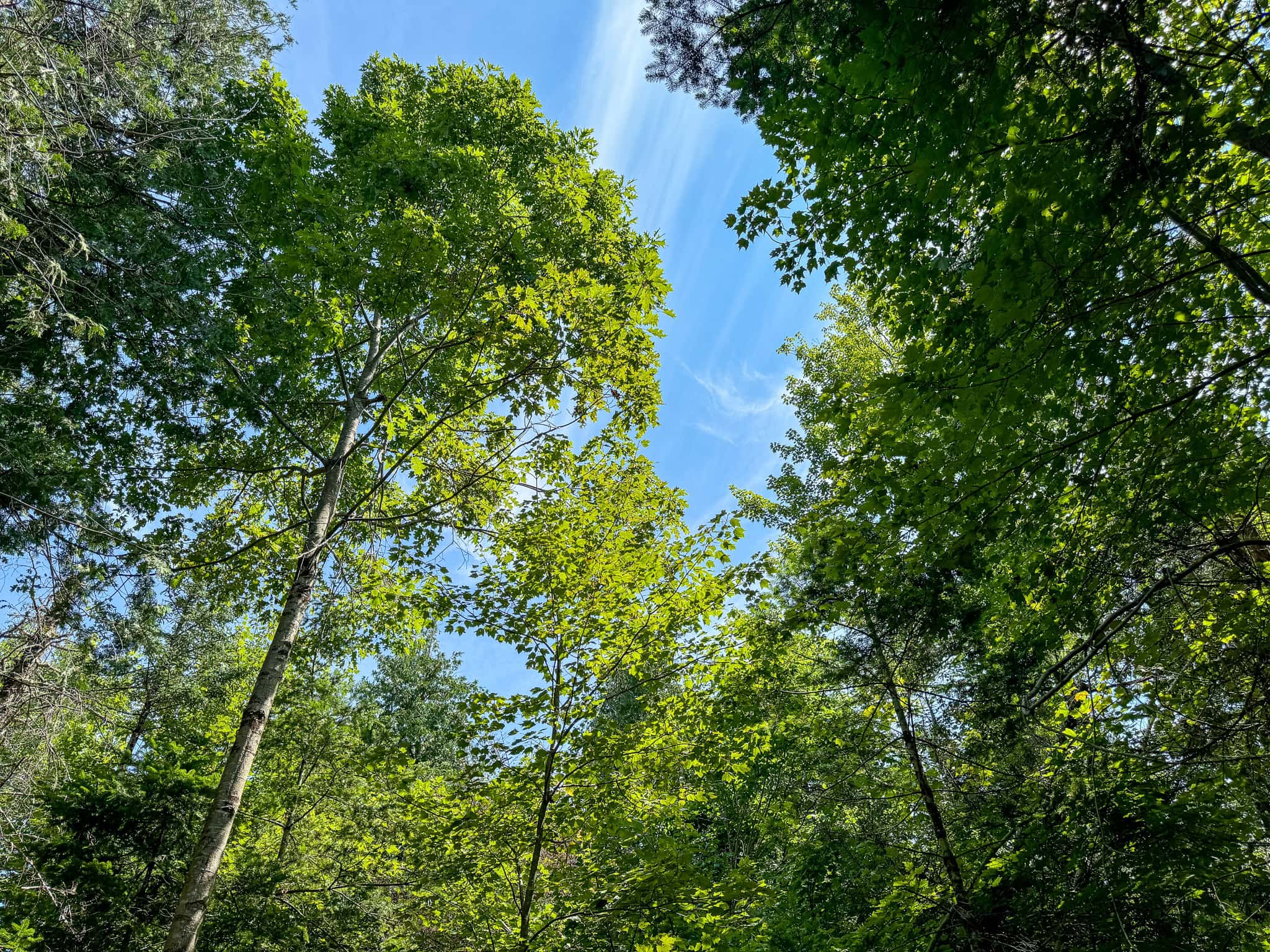 Expansive 325± Acre Land Parcel – Plymouth, ME
