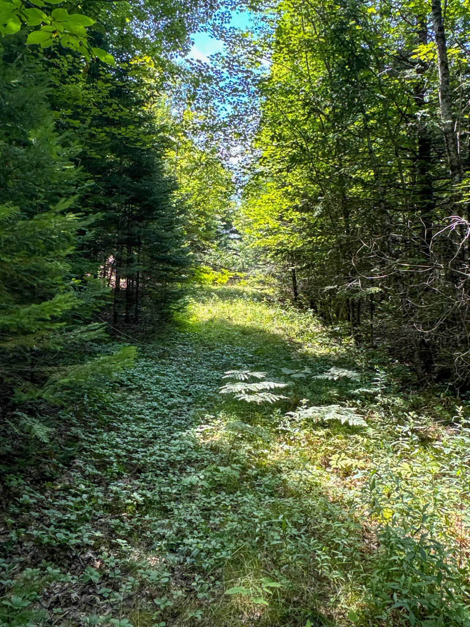 Expansive 325± Acre Land Parcel – Plymouth, ME