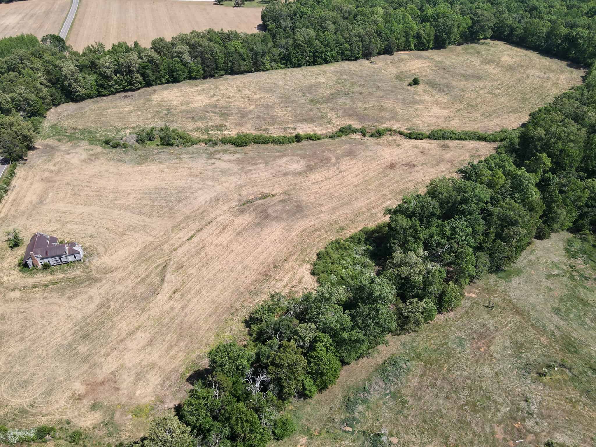 OPEN LAND FOR SALE IN TN, OLD HOUSE, BRANCH, FENCING, DEER & TURKEY HUNTING
