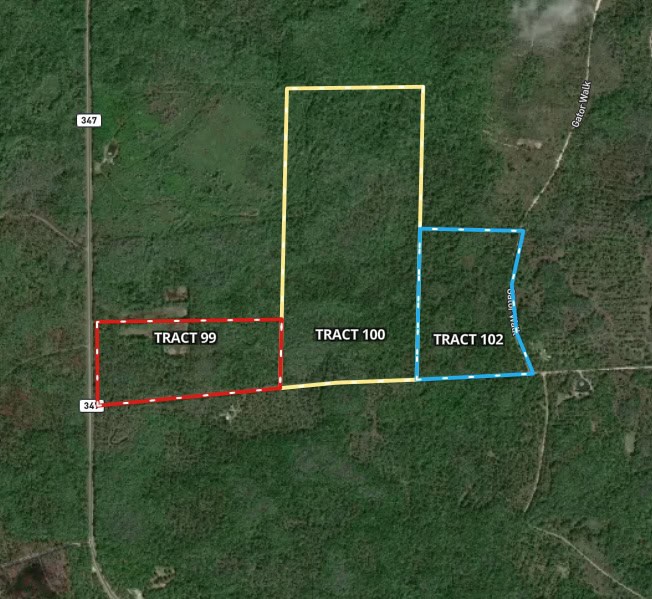 Hunting Tracts Near Suwannee River | Levy County | 40-192 Acres