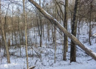 Tract 10- Gently rolling hillsides back a dead end road